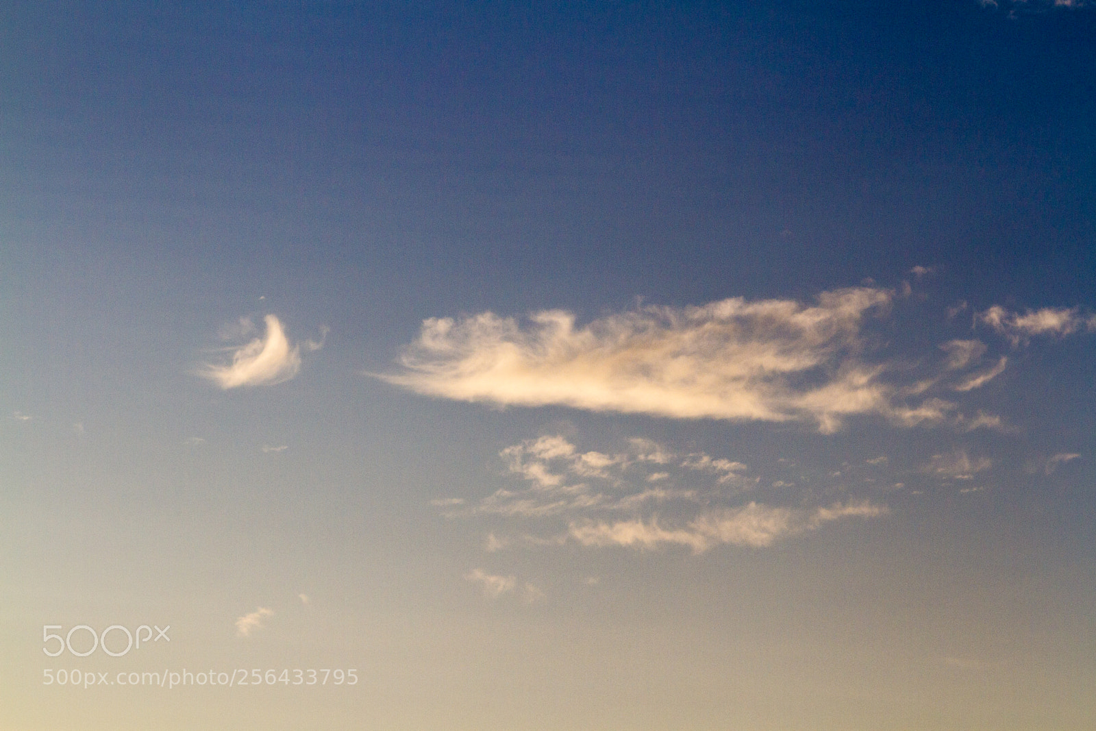 Canon EOS 7D sample photo. Untitled photography