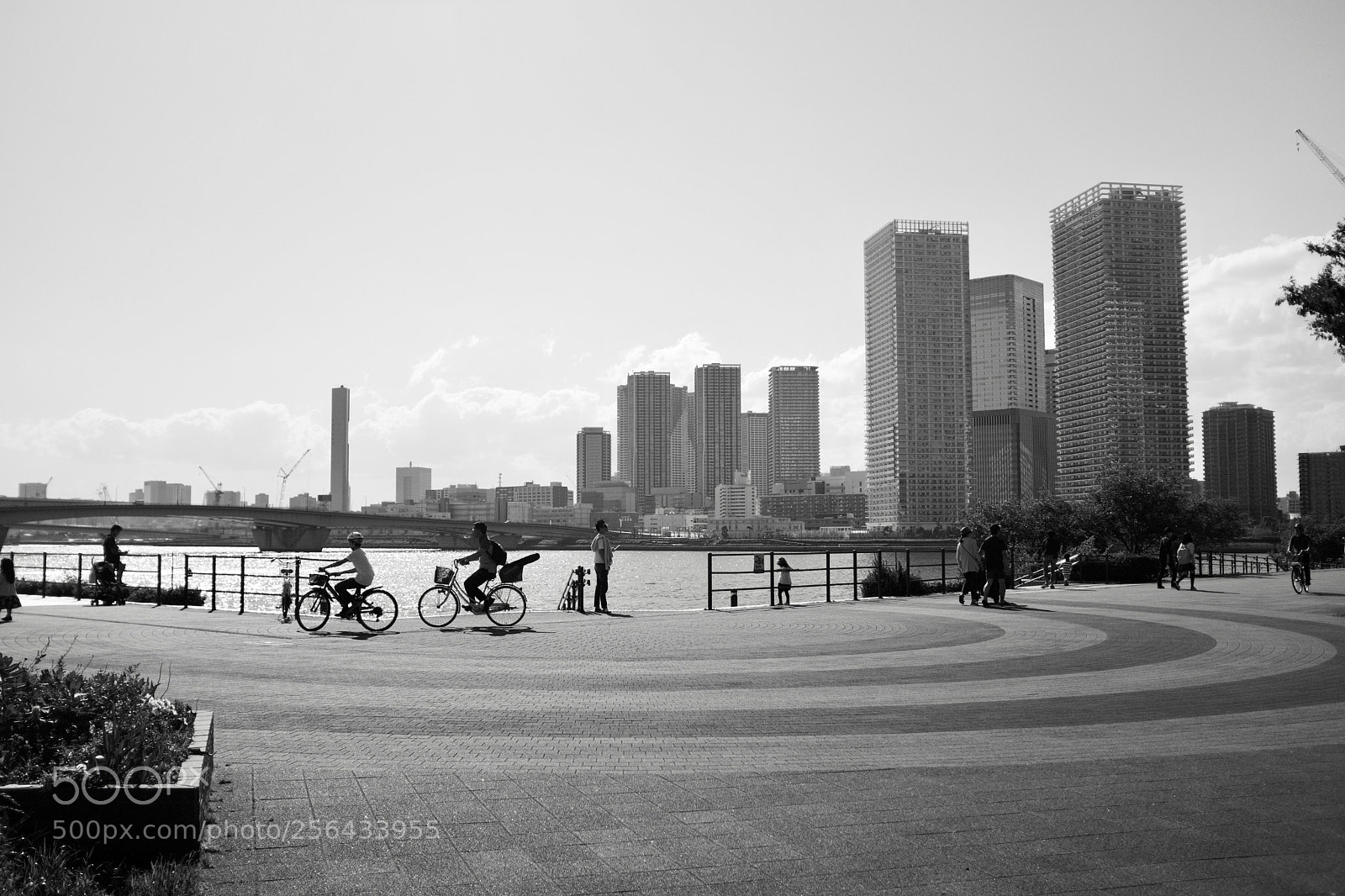 Fujifilm X100F sample photo. Sunny afternoon photography