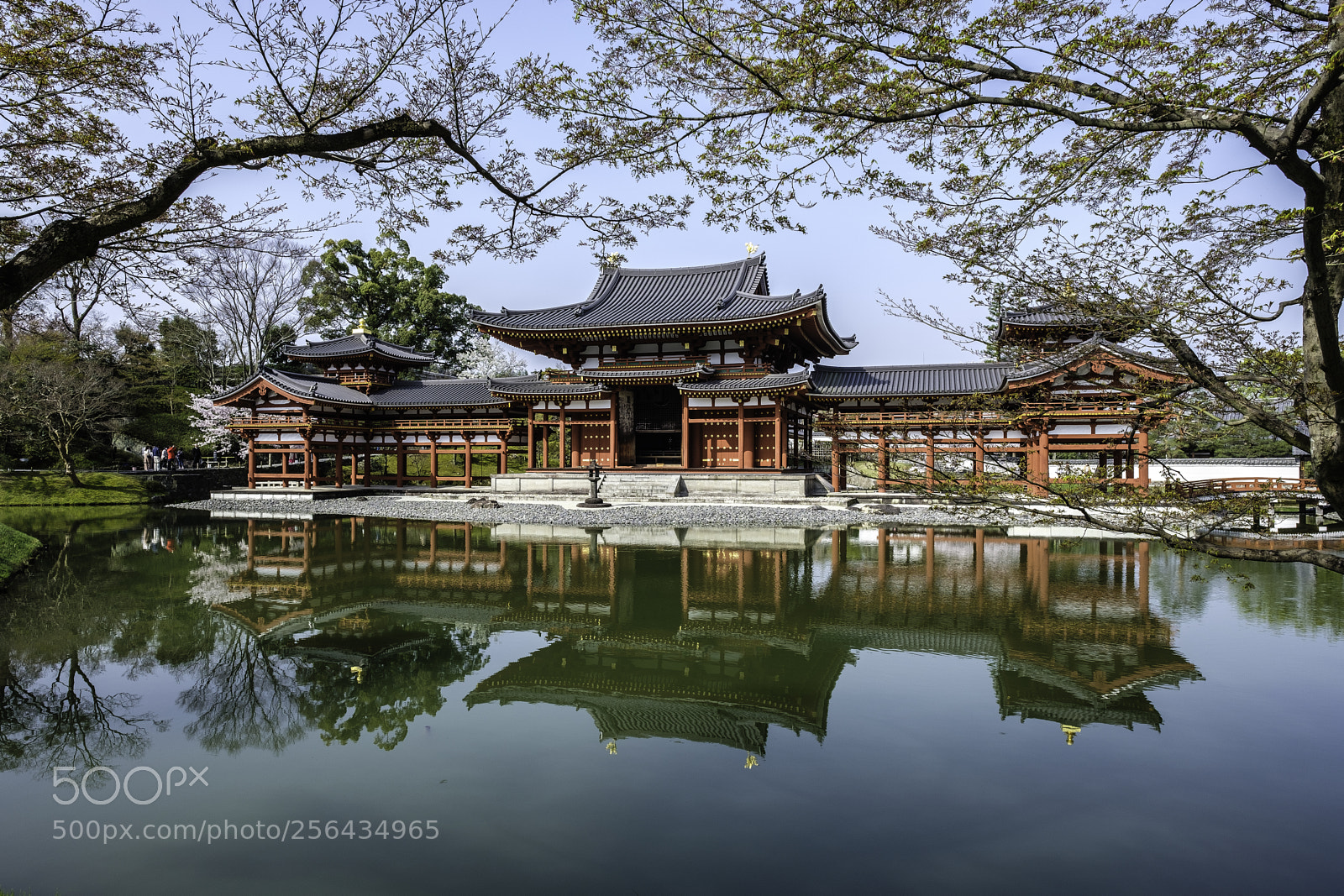 Fujifilm X-T2 sample photo. Japan-平等院 photography