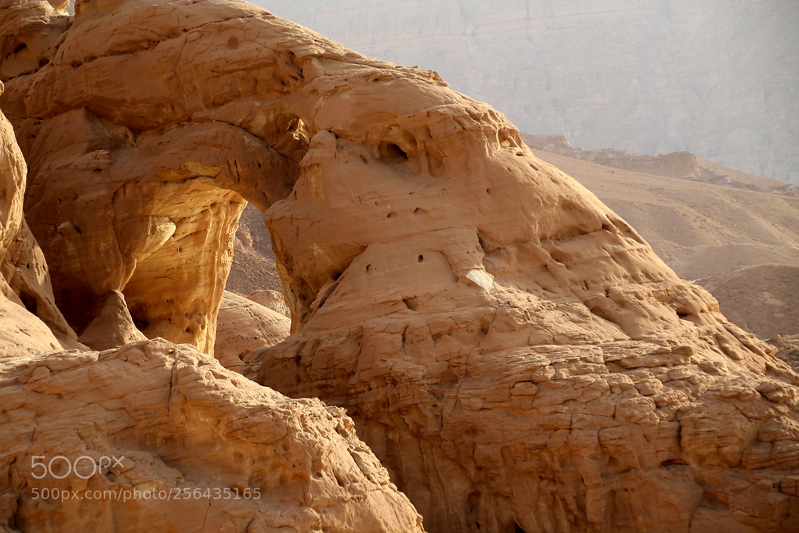 Canon EOS 1300D (EOS Rebel T6 / EOS Kiss X80) sample photo. Desert dinosaur photography