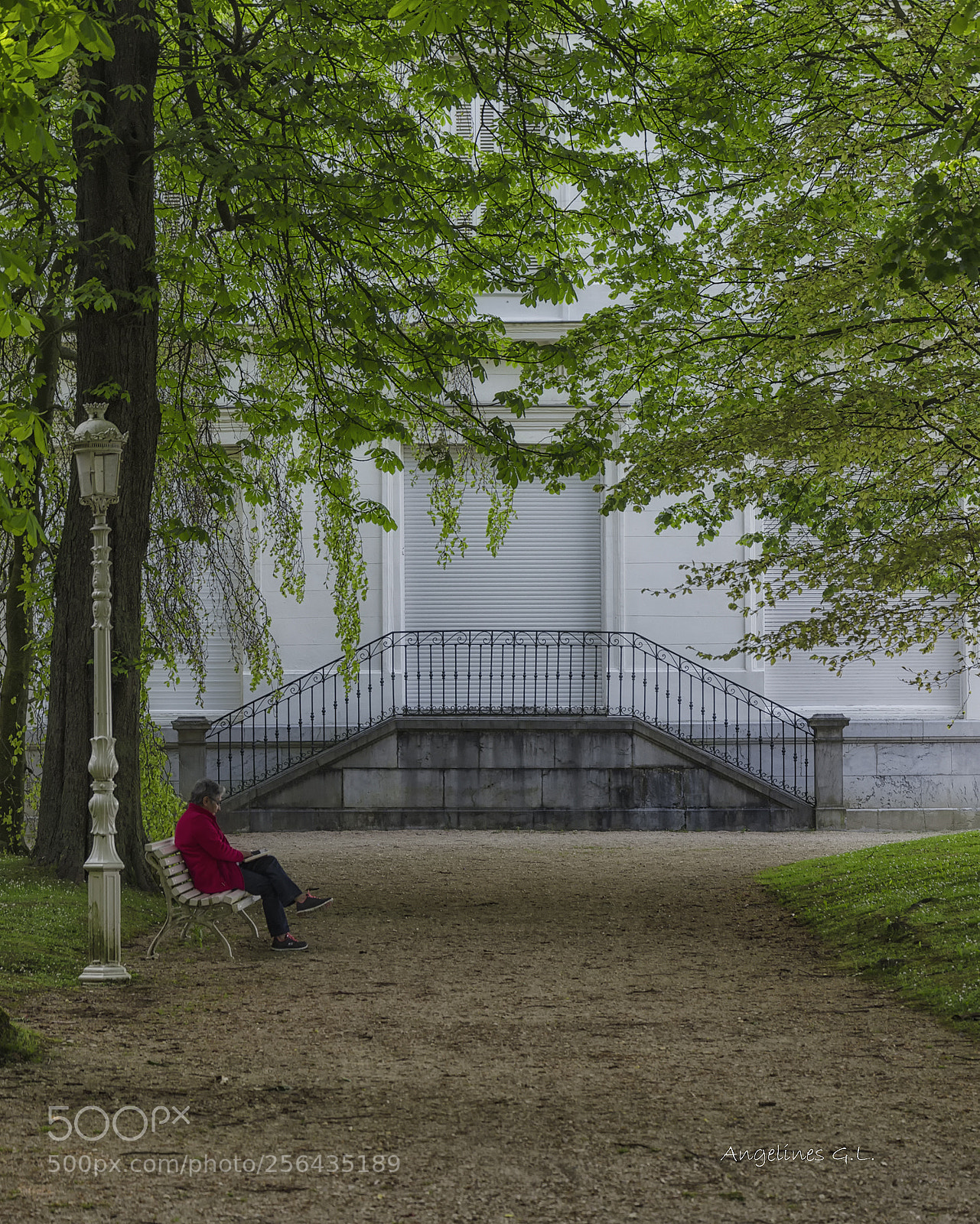 Nikon D5100 sample photo. Al final del camino photography