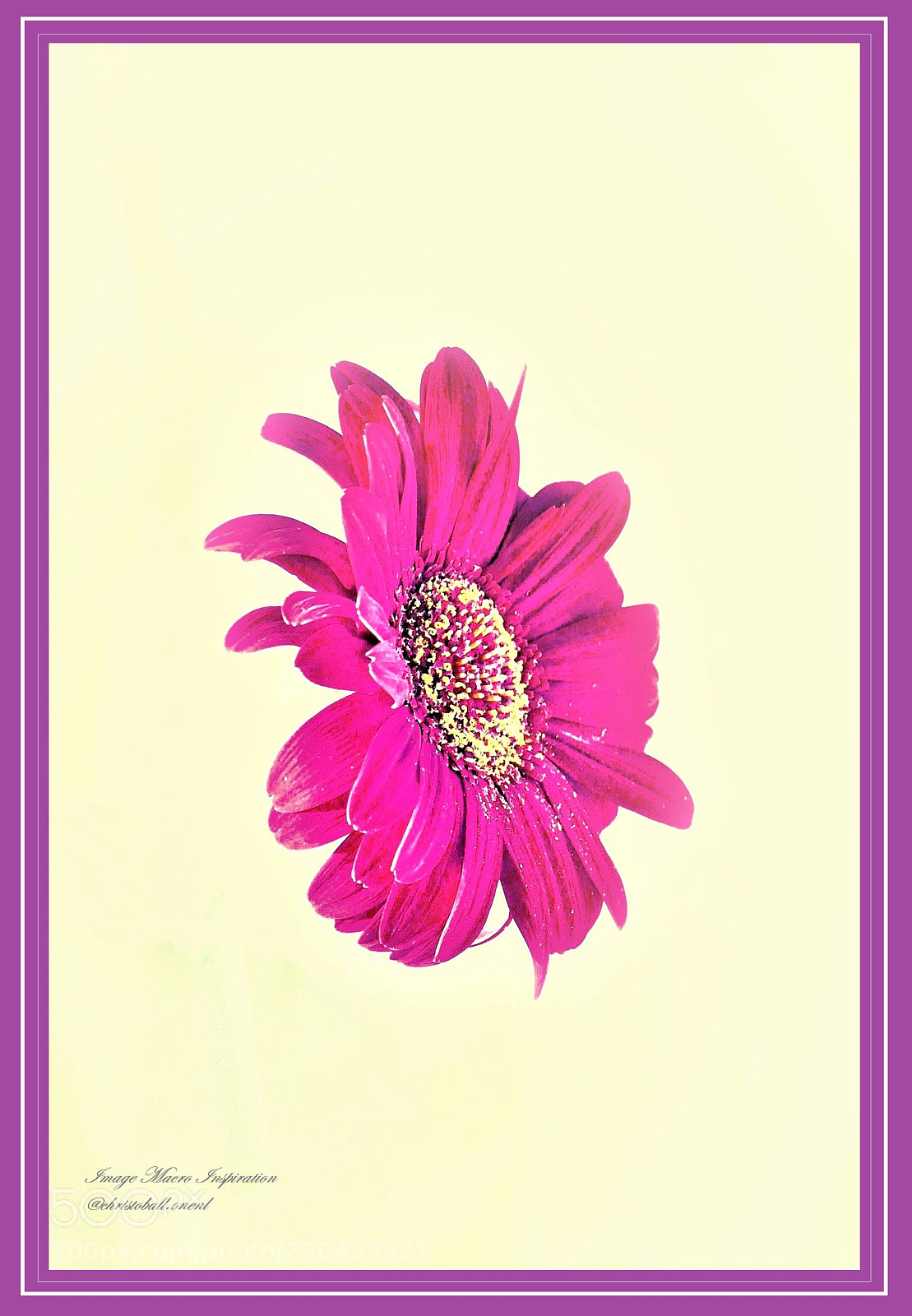 Panasonic Lumix DMC-FZ300 sample photo. [] photography