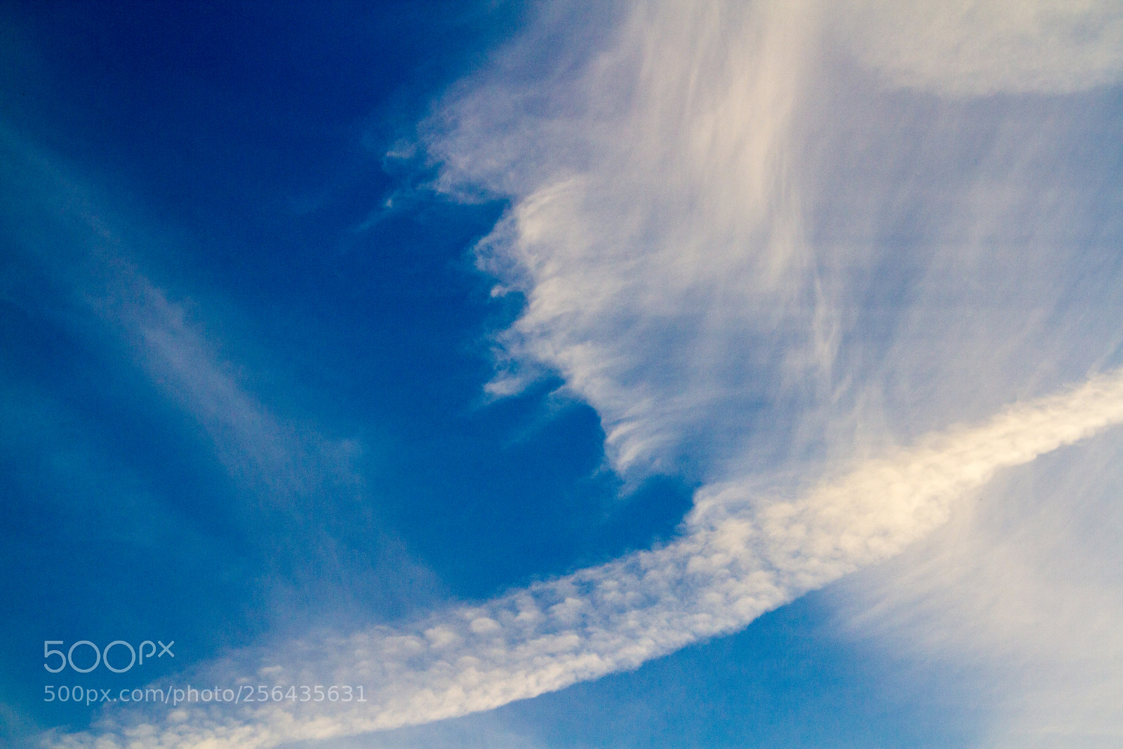 Canon EOS 7D sample photo. Untitled photography