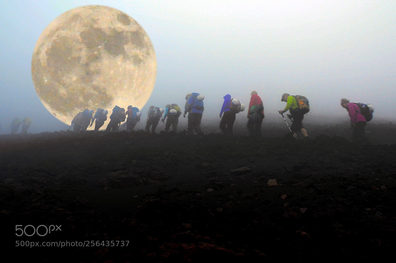 Nikon D90 sample photo. From the earth to photography