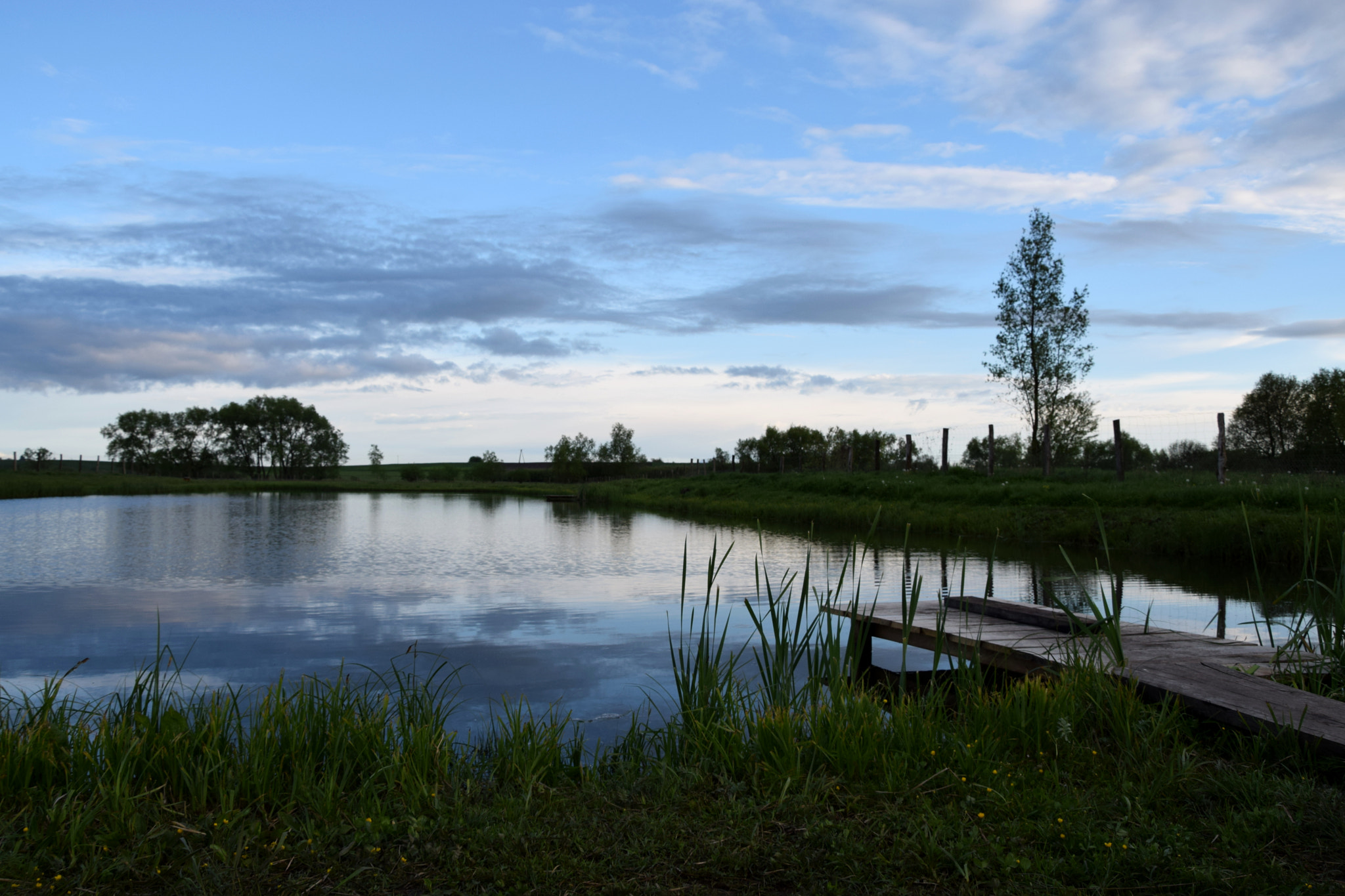 Nikon D3300 sample photo. Pond photography