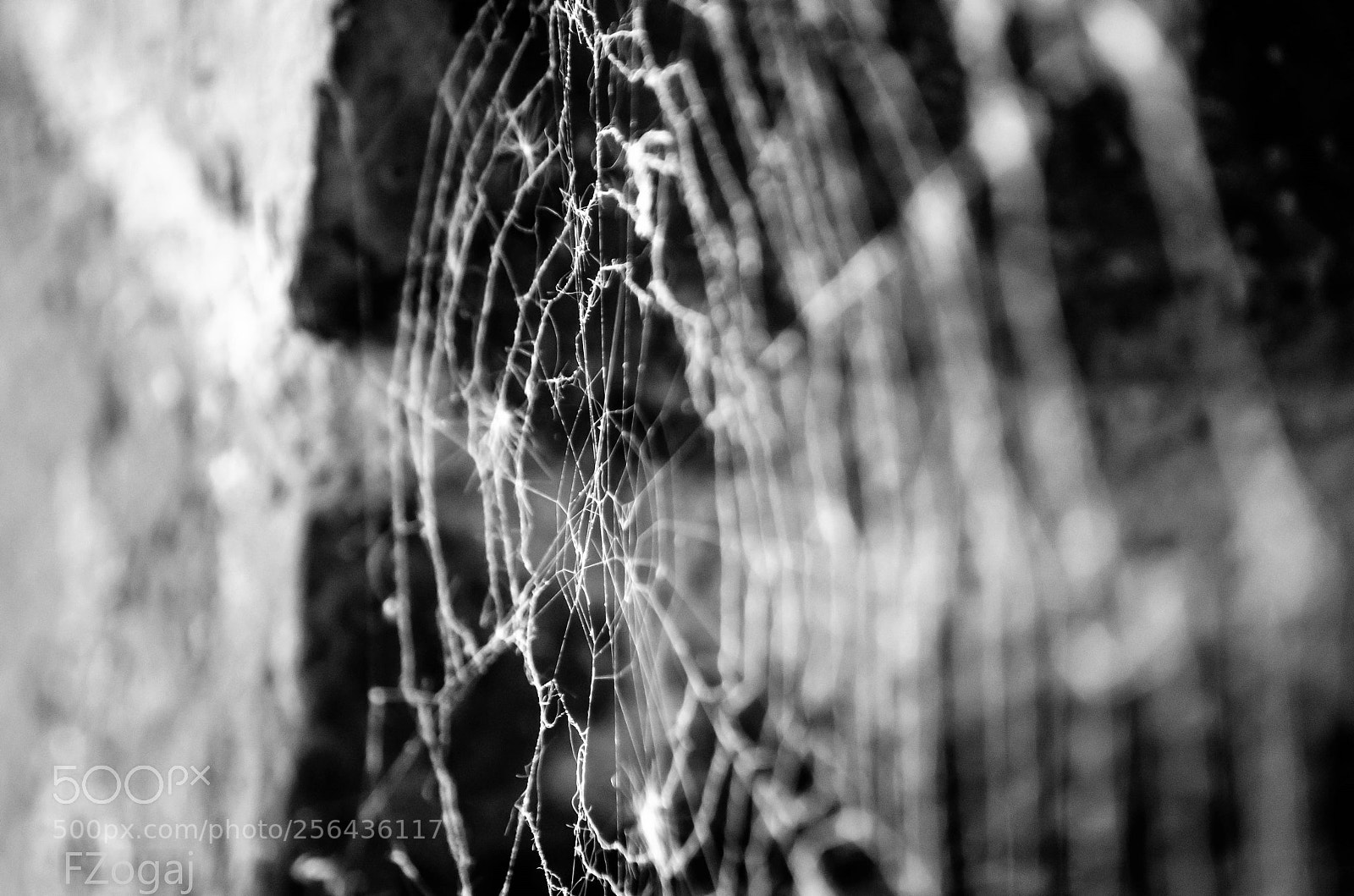 Nikon D5100 sample photo. Untitled photography