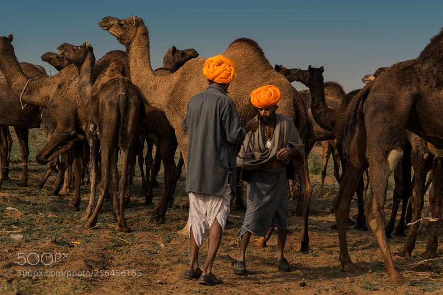 Sony a7 sample photo. Pushkar mela. rajasthan photography