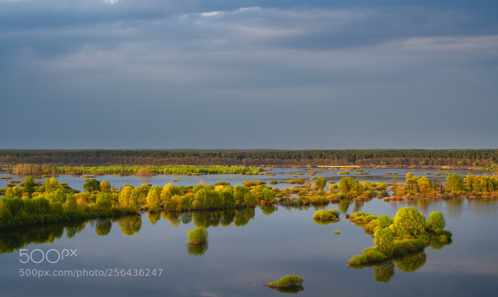 Nikon D7000 sample photo. Desna river photography