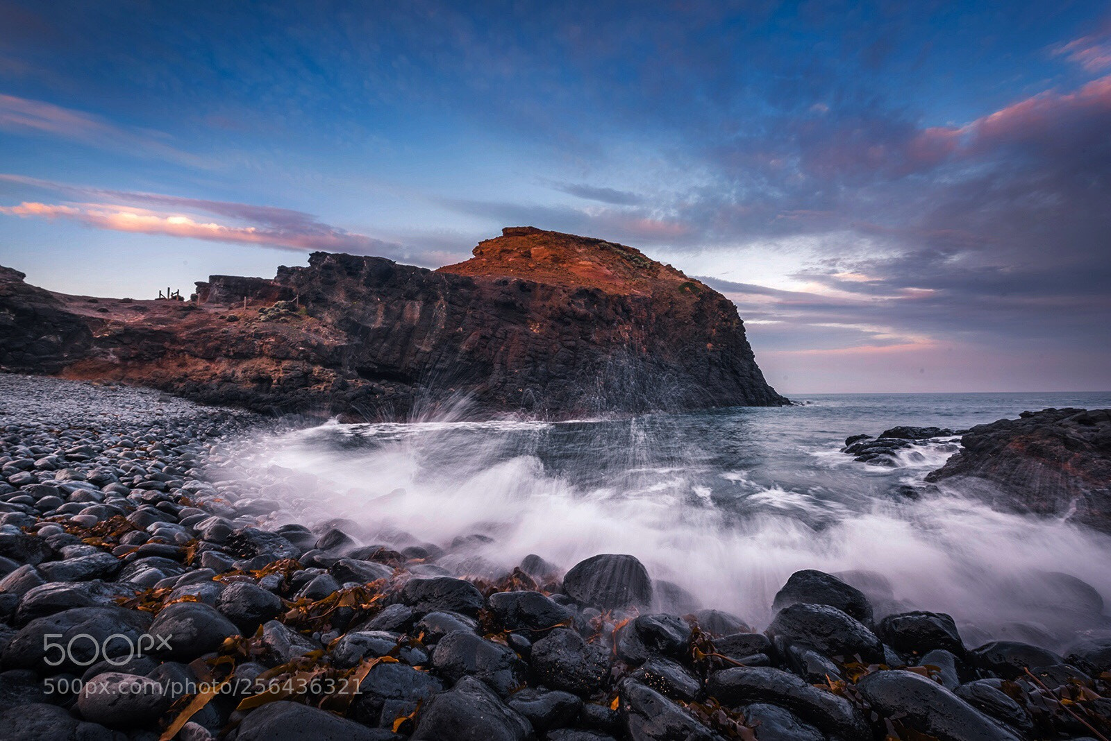 Nikon D810 sample photo. Cape schanck  photography