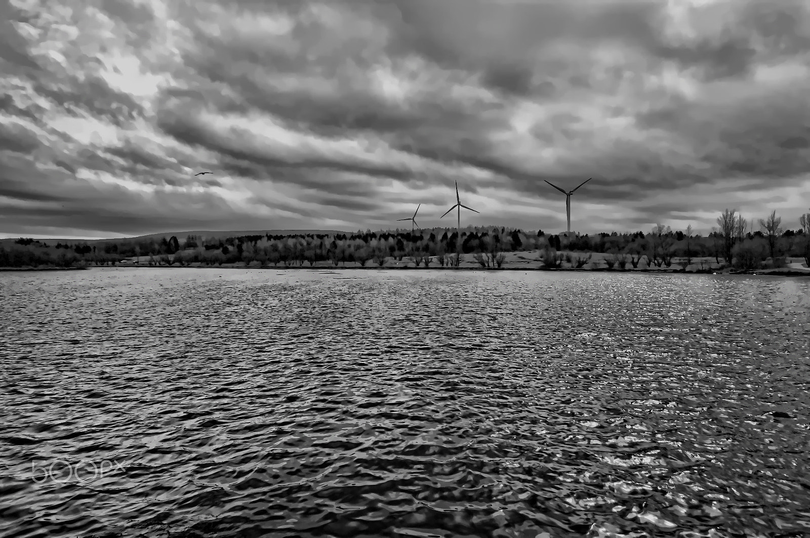 Nikon D2X sample photo. Turbines and lake photography