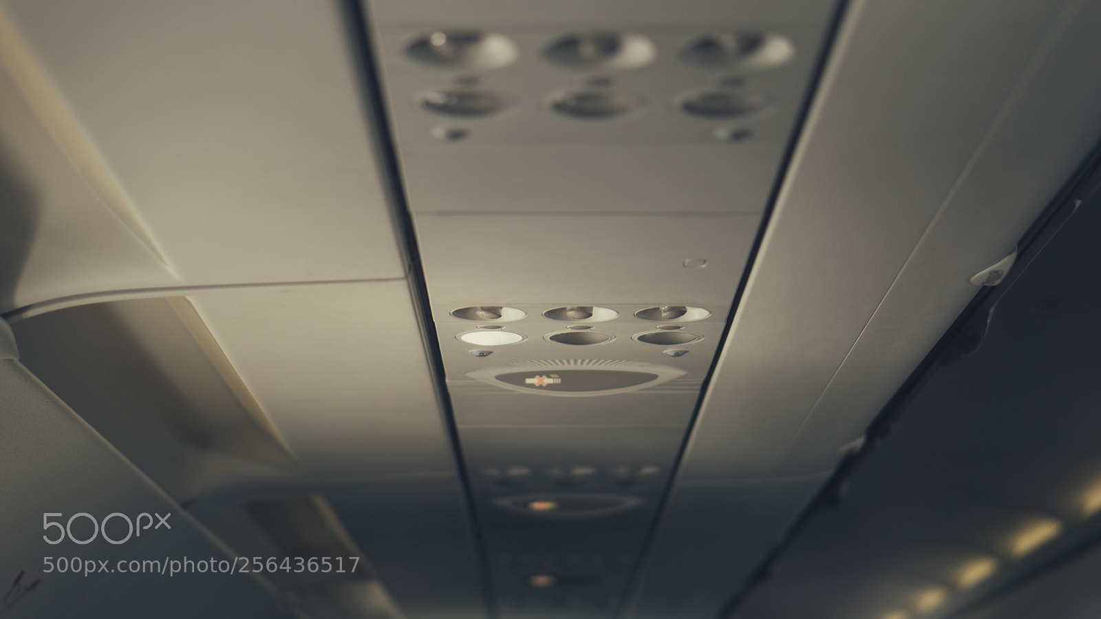 Sony a6000 sample photo. Dsc photography