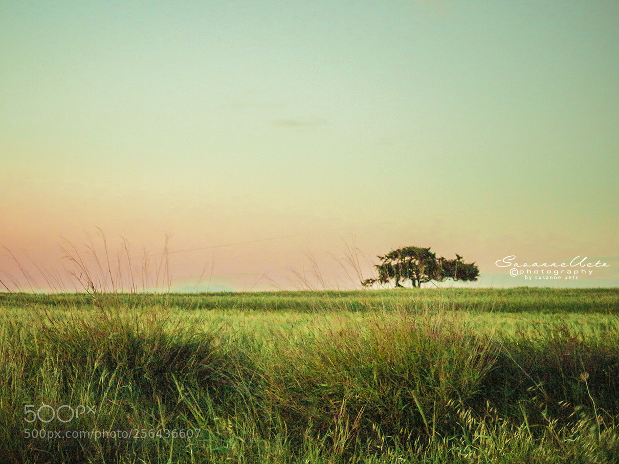 Canon EOS M10 sample photo. Tranquility photography