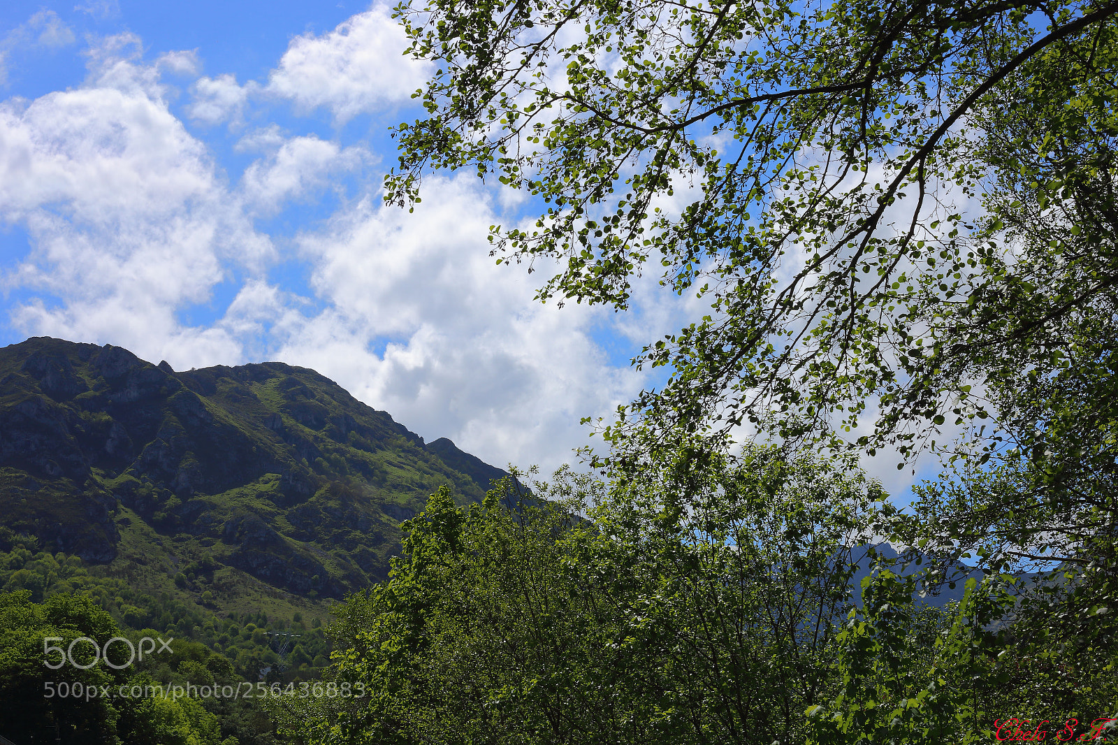 Canon EOS 6D sample photo. Img photography