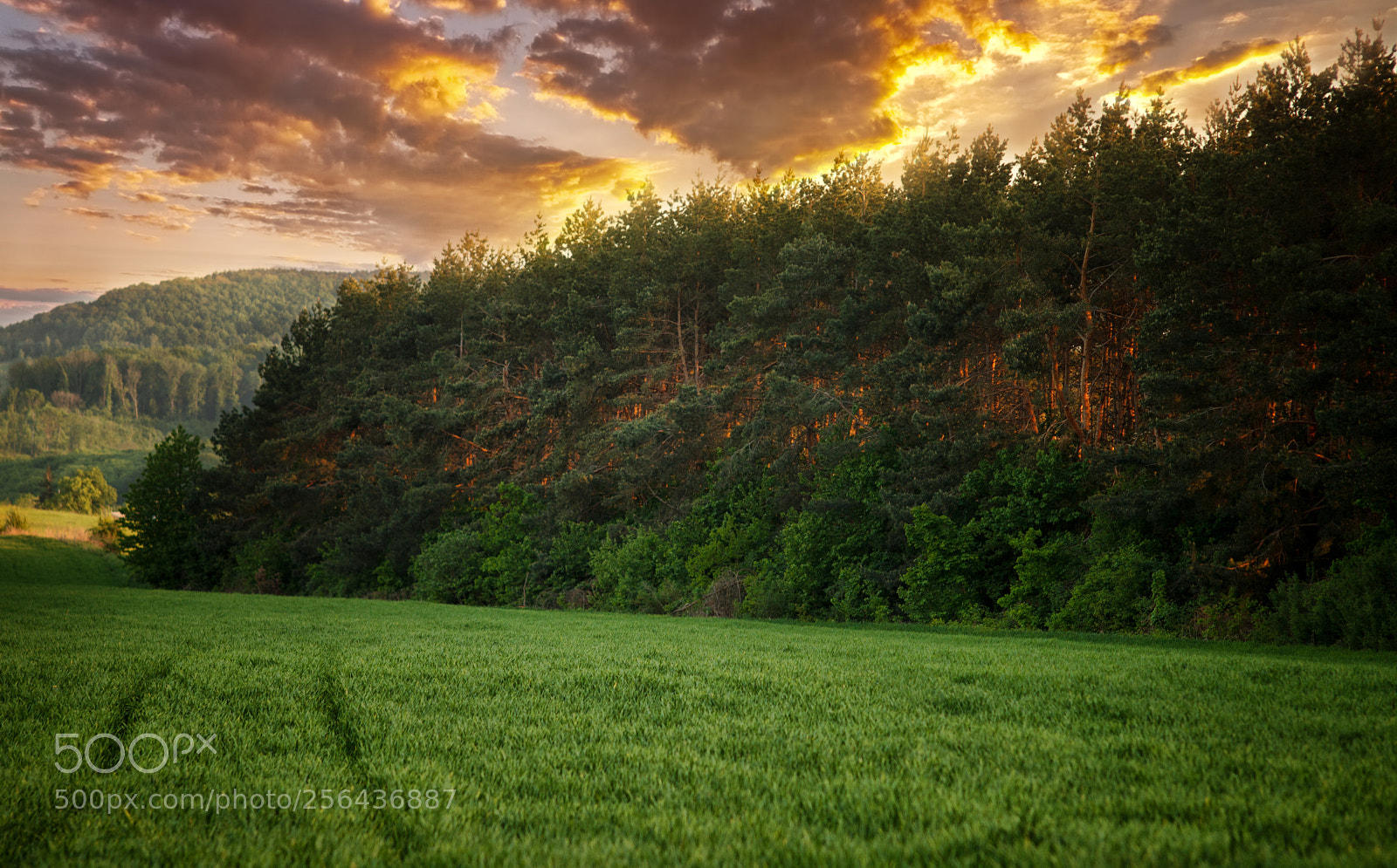 Canon EOS 5D Mark II sample photo. ... photography