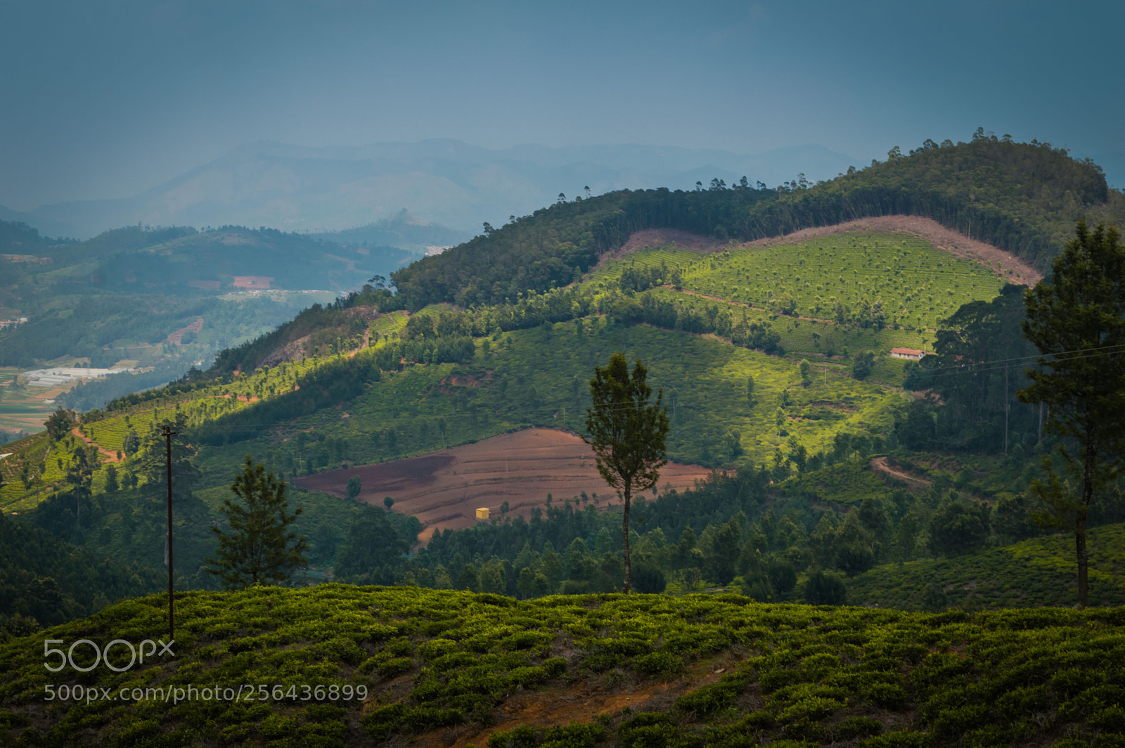 Nikon D3200 sample photo. Magical ambience of nilgiris! photography