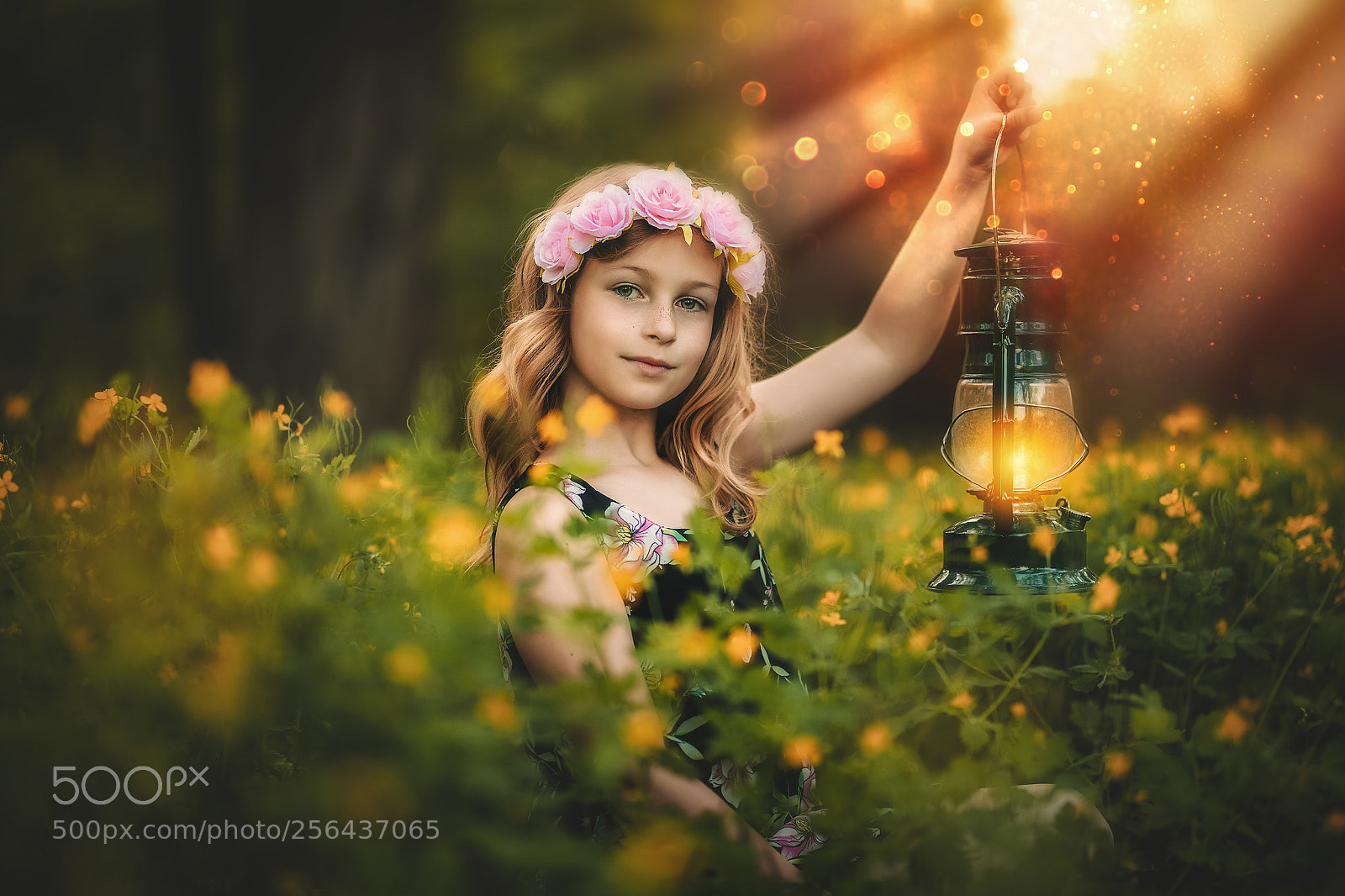 Canon EOS 5D Mark IV sample photo. In magical forest photography