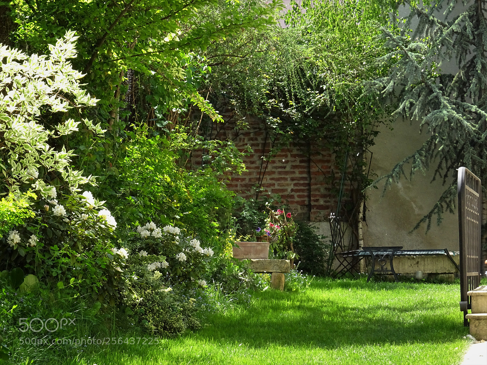 Sony DSC-HX60 sample photo. Green yard photography