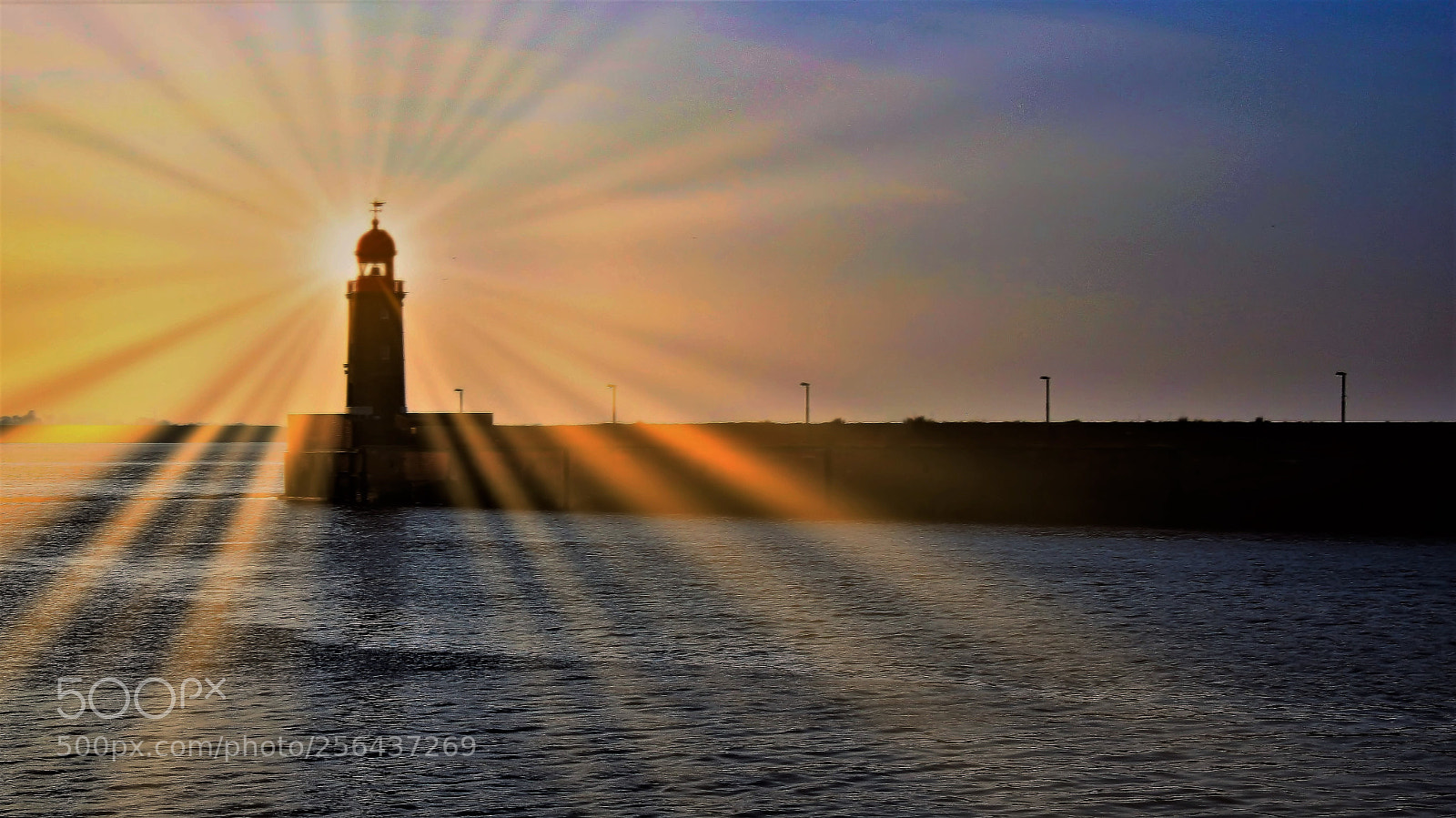Canon EOS 750D (EOS Rebel T6i / EOS Kiss X8i) sample photo. Dreamlike morning by the photography