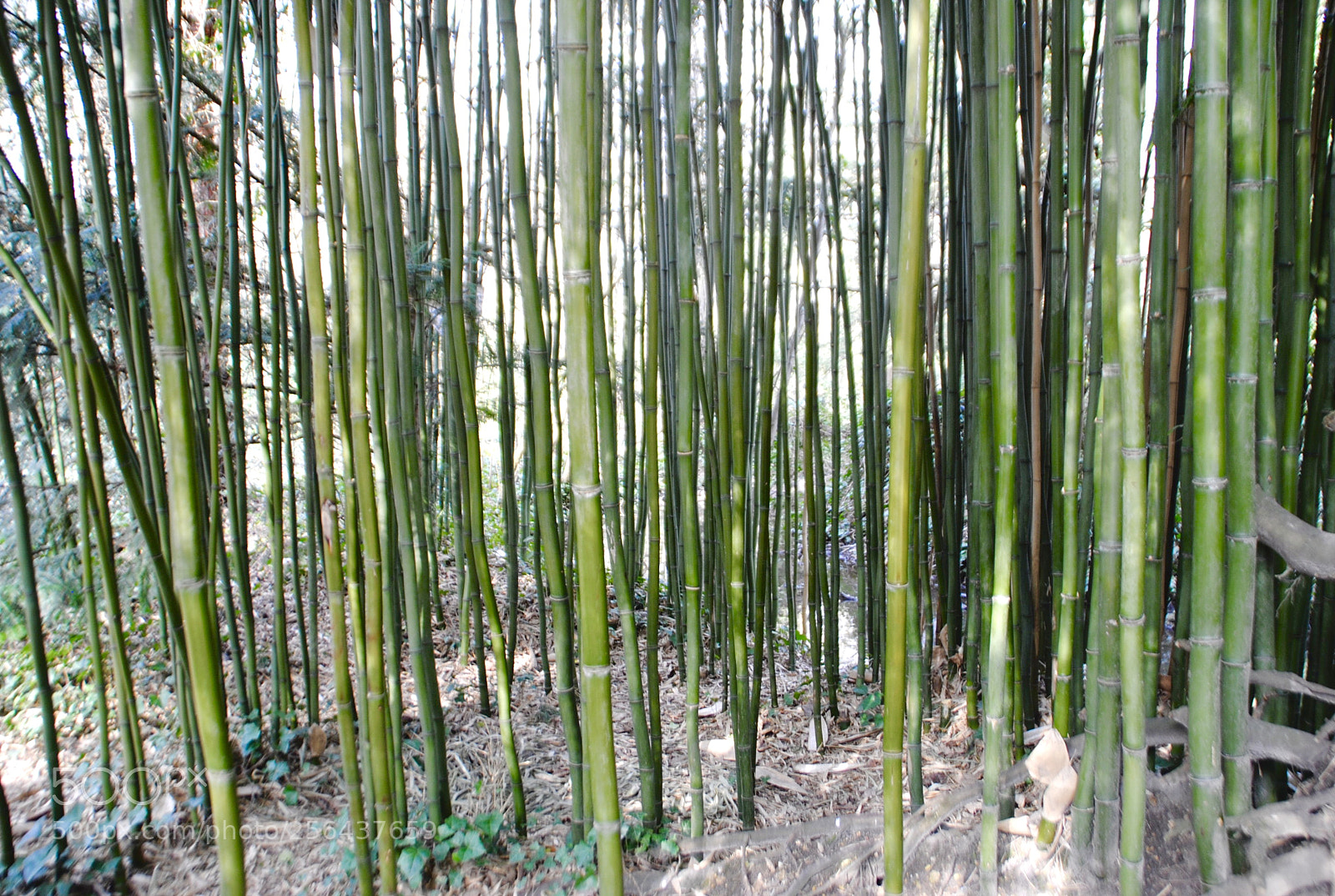 Nikon D3000 sample photo. Fullsizeoutput photography