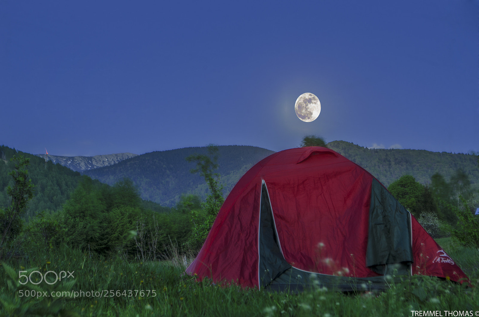 Nikon D5100 sample photo. Night with full moon photography