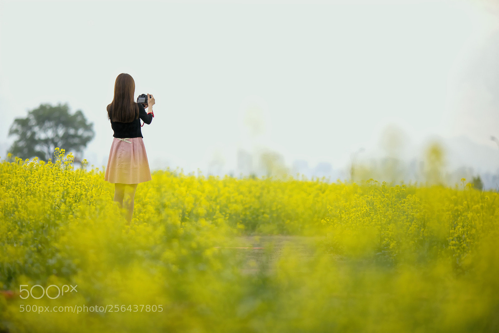 Canon EOS 5D Mark IV sample photo. A spring girl photography