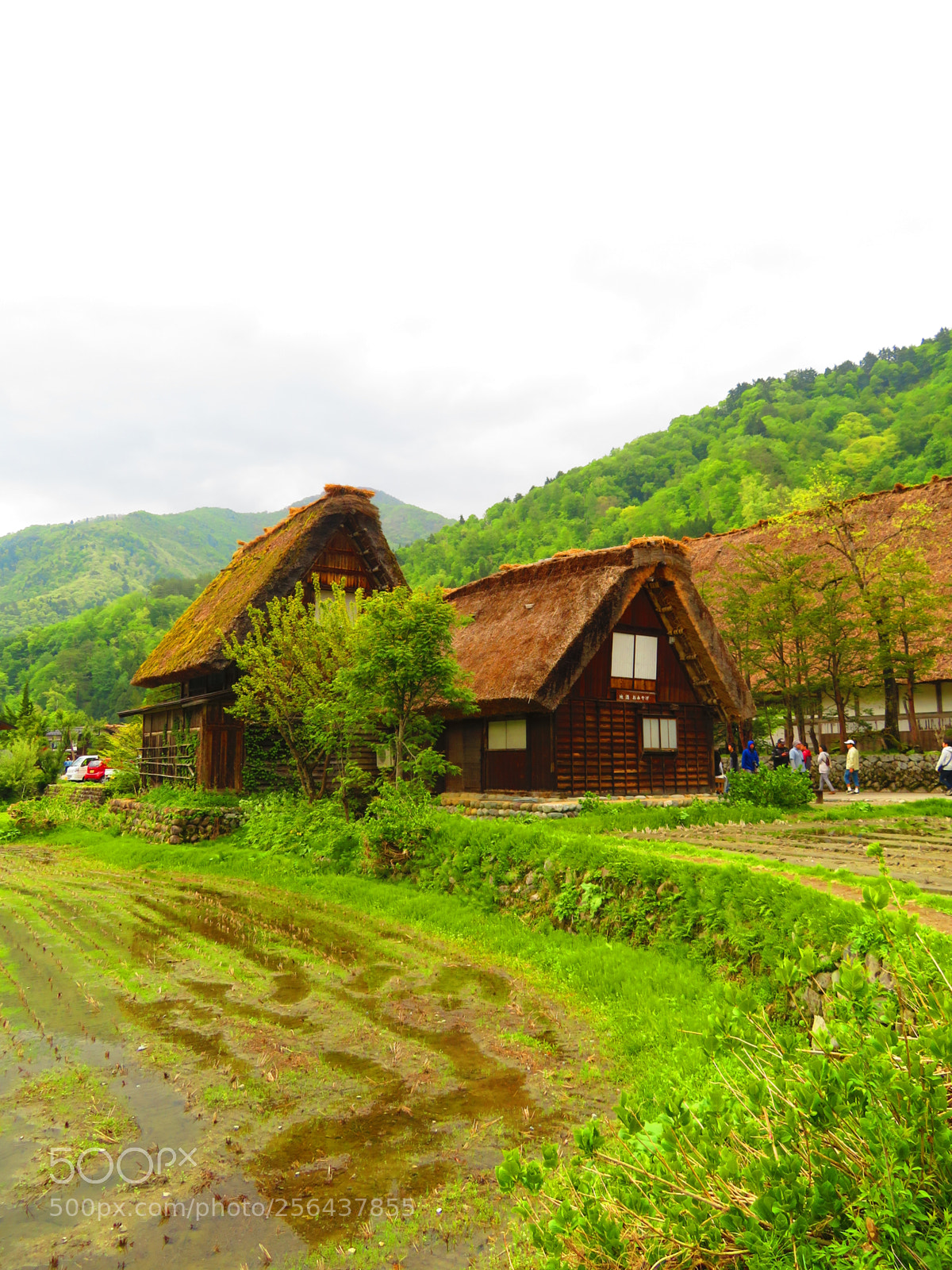 Canon PowerShot SX720 HS sample photo. Shirakawagou photography
