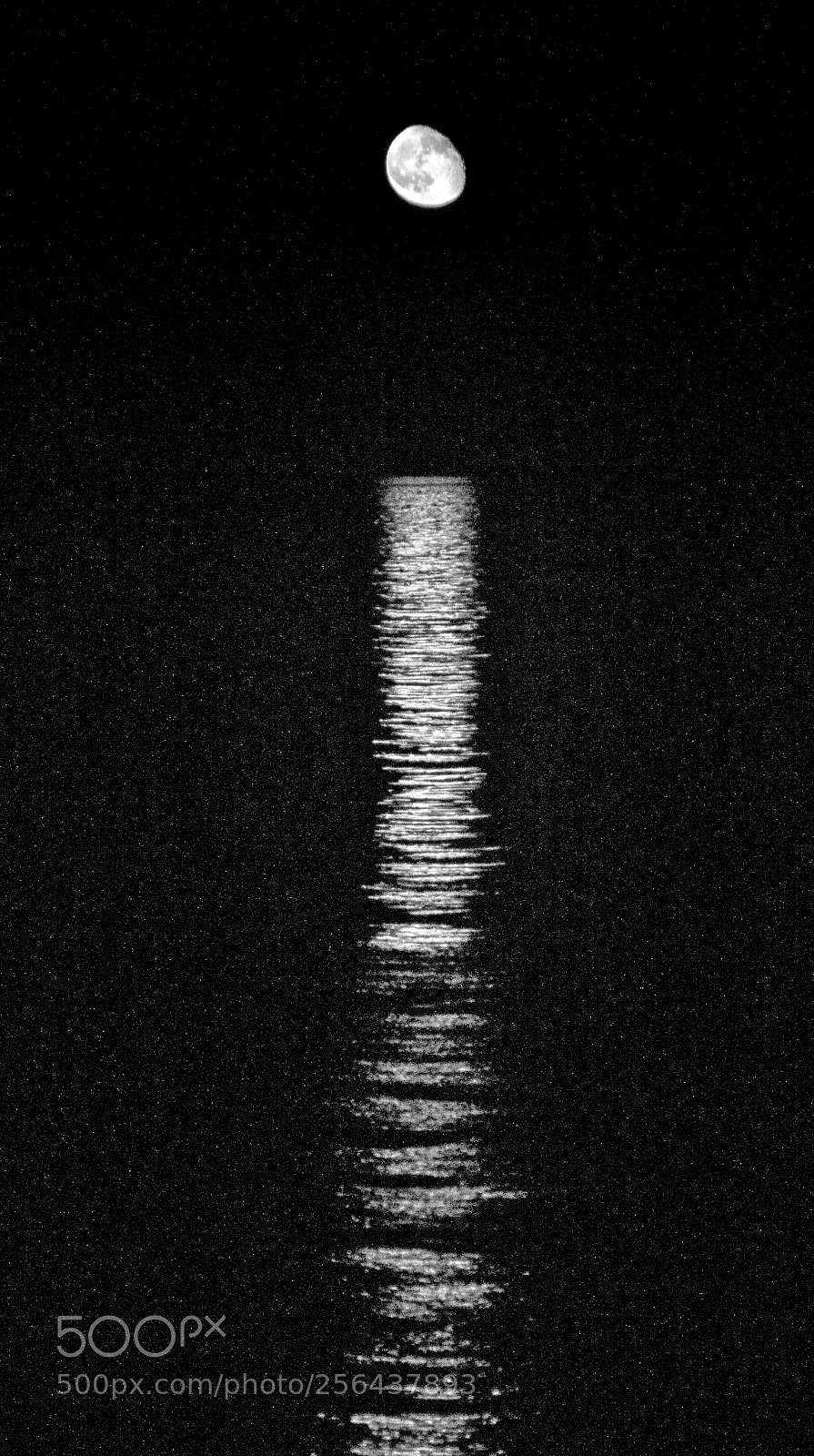 Canon EOS 60D sample photo. Moonrise over the channel photography