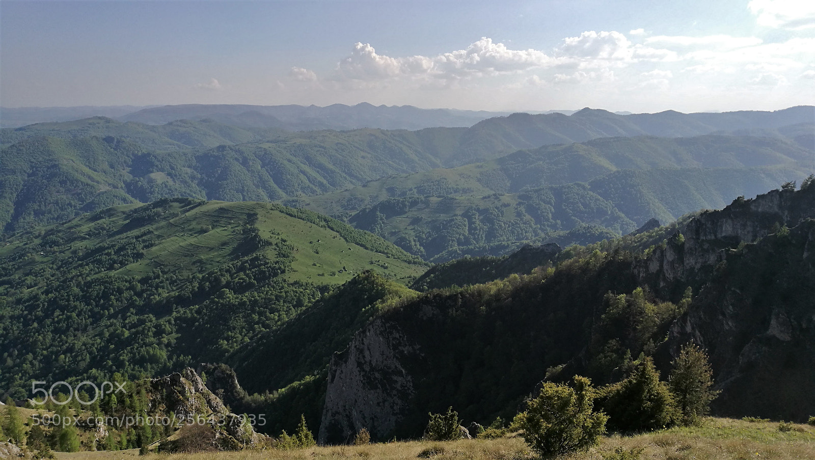 HUAWEI P9 sample photo. Spring on the mountains photography