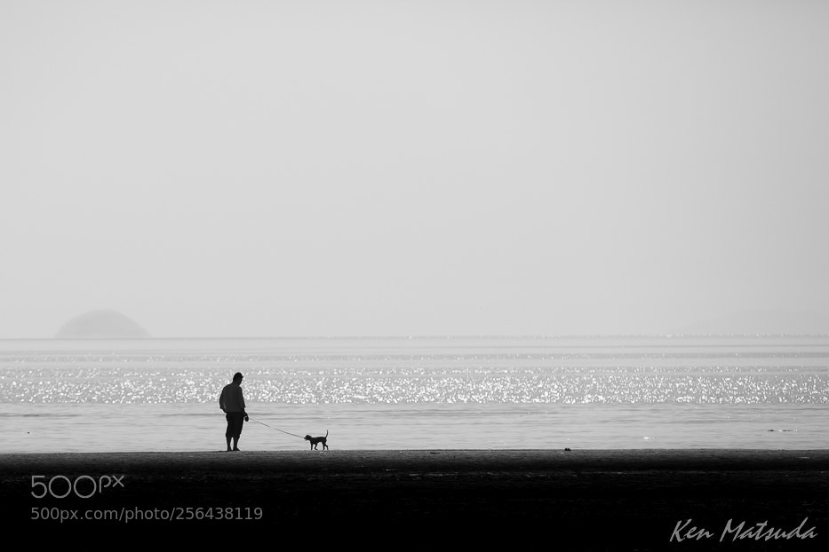 Canon EOS 5D Mark II sample photo. At a beach. photography