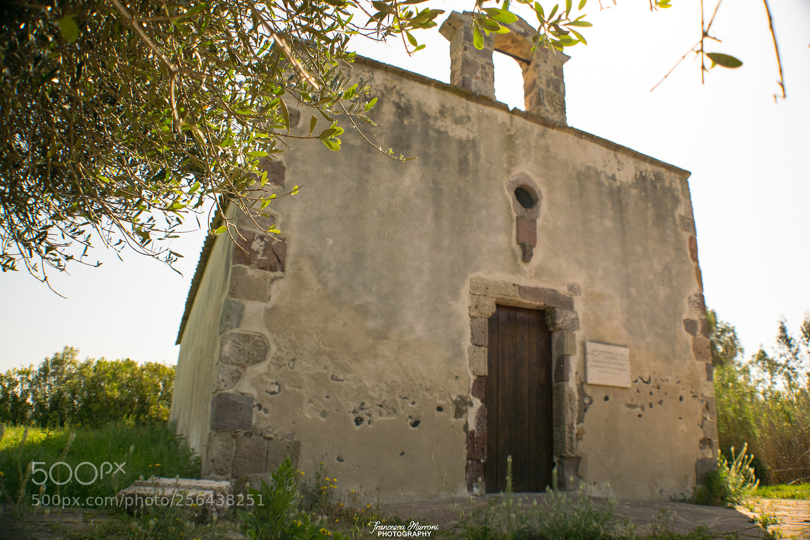 Nikon D5300 sample photo. Chiesa santa marta di photography