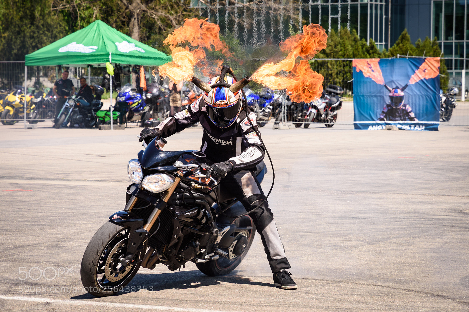 Nikon D7200 sample photo. Horns on fire photography