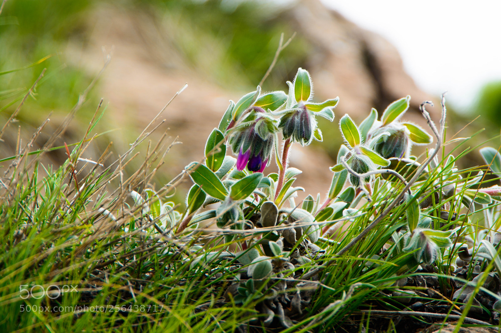 Nikon D7100 sample photo. The one with bright photography