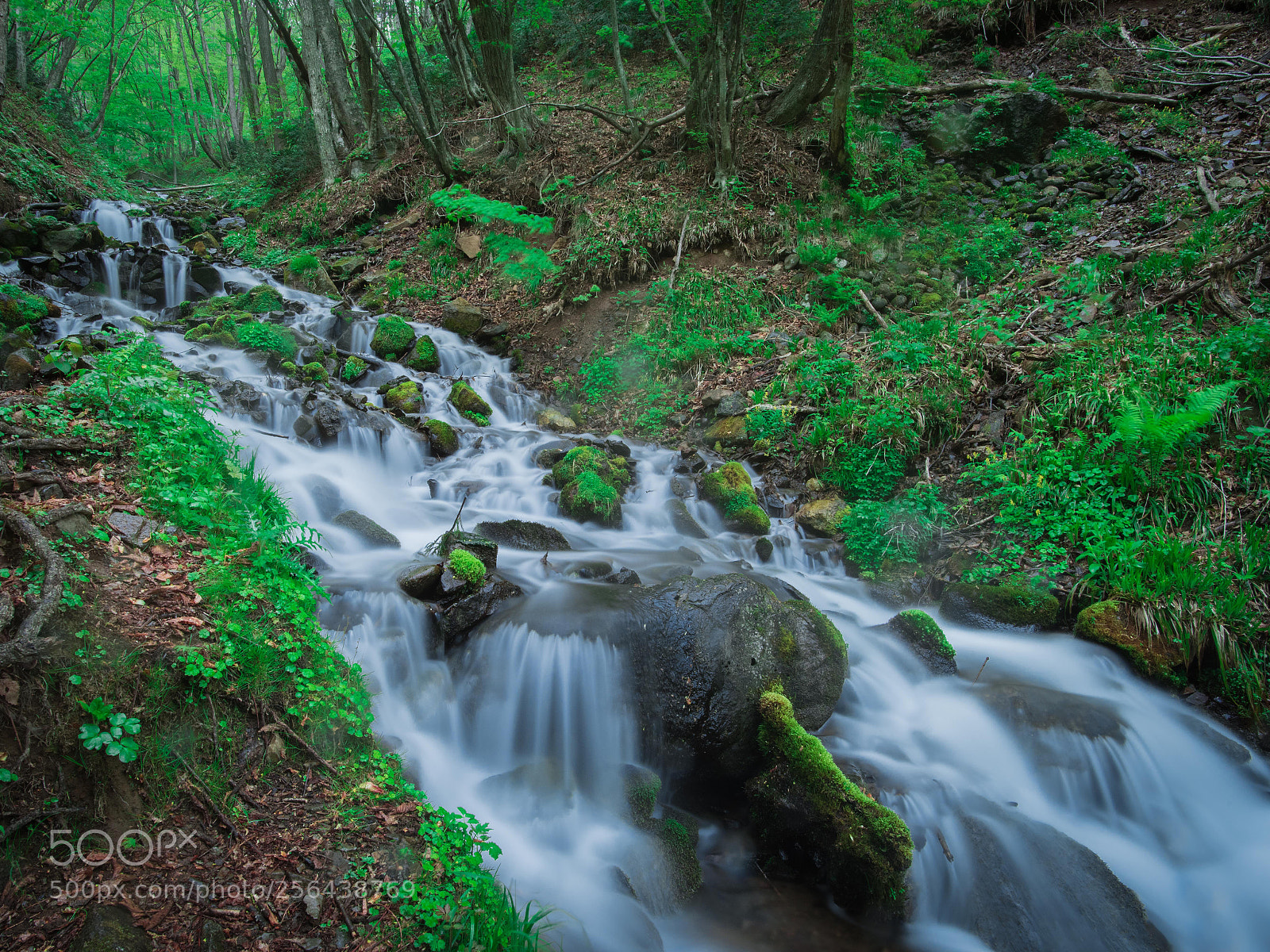 Nikon D750 sample photo. Waterfall photography