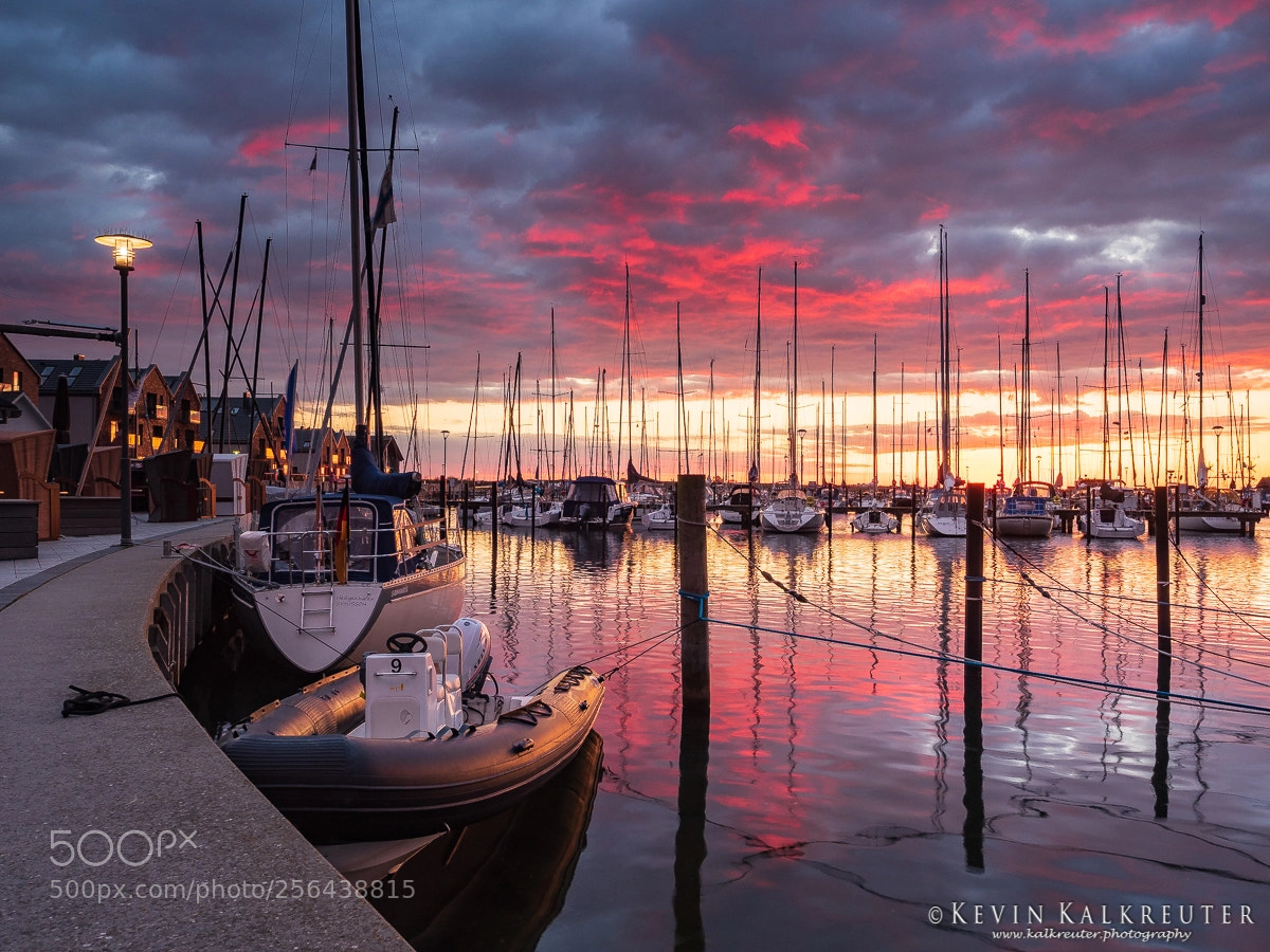 Olympus OM-D E-M1 Mark II sample photo. Harbor sunrise photography