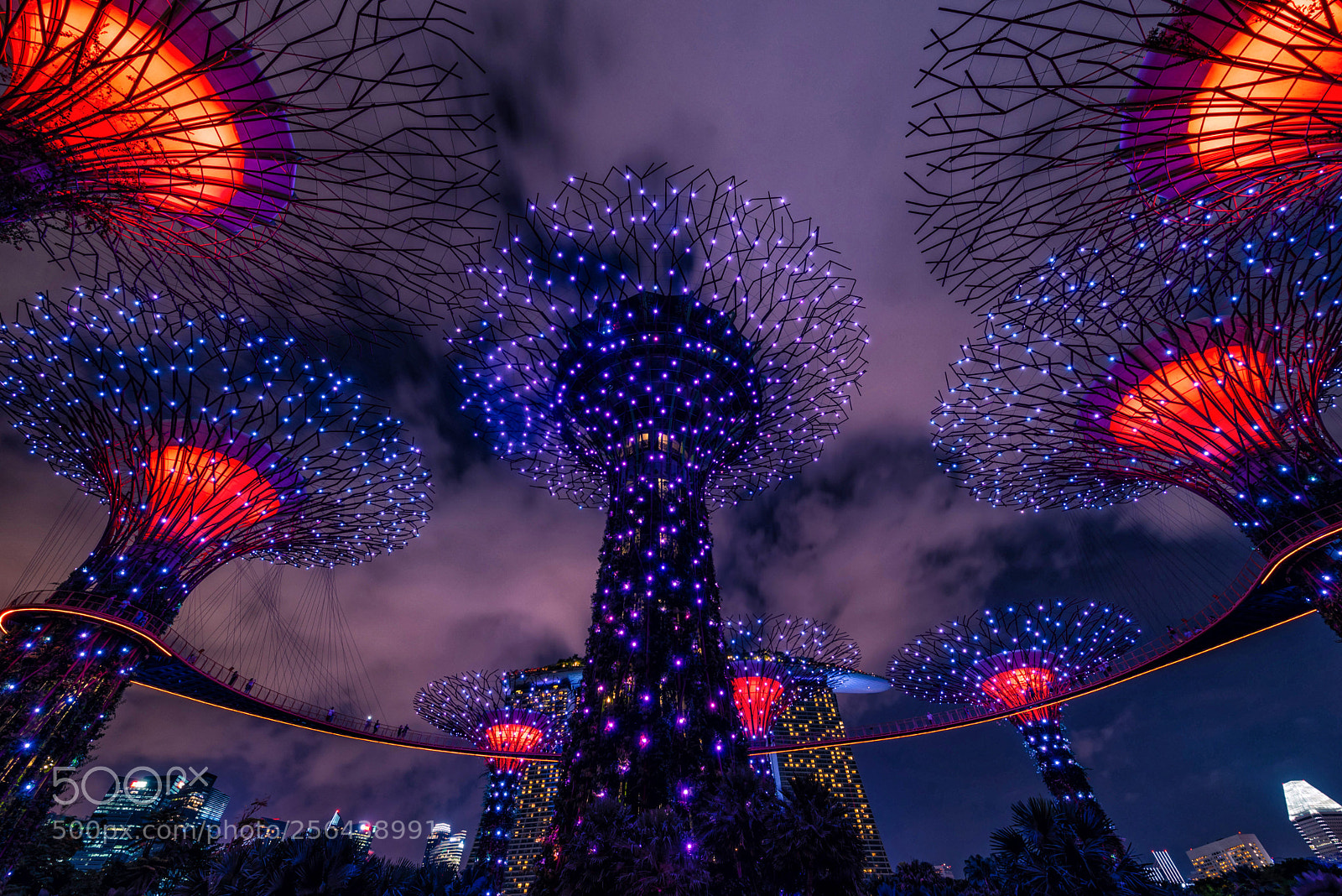 Nikon D750 sample photo. Supertree grove photography