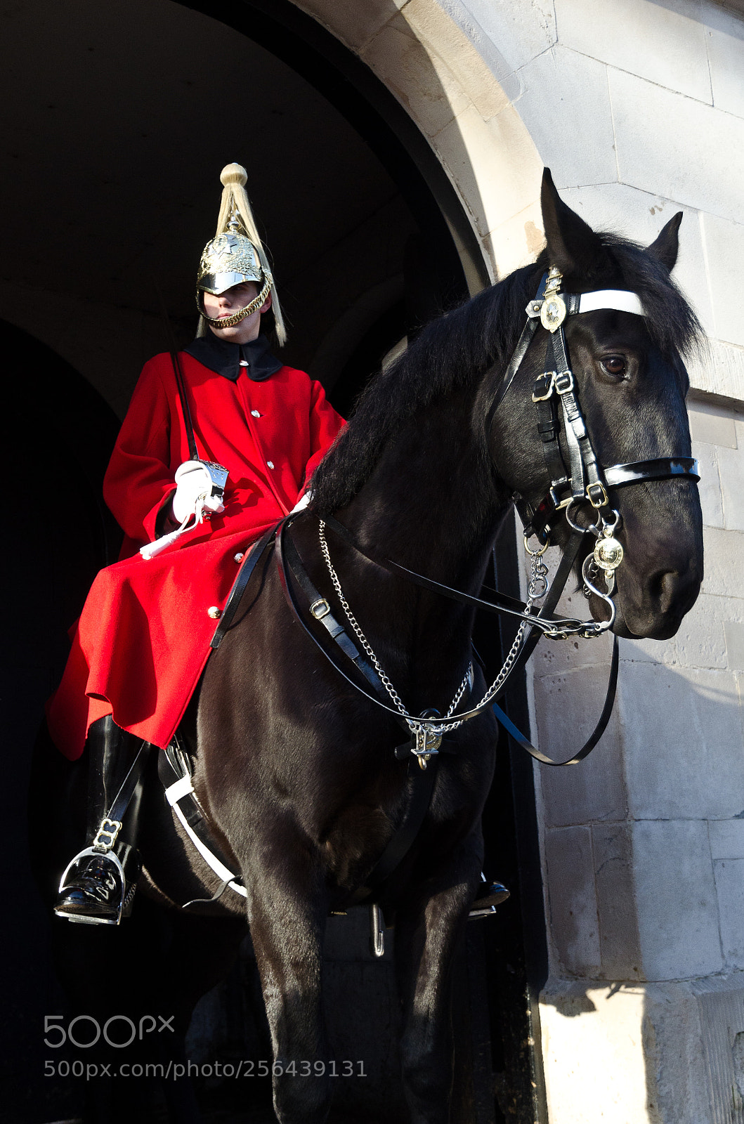 Nikon D7000 sample photo. Horseguard on duty photography
