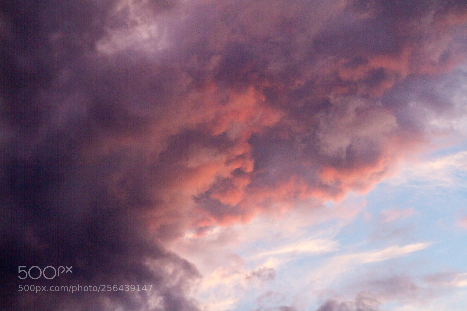 Canon EOS 7D sample photo. Untitled photography