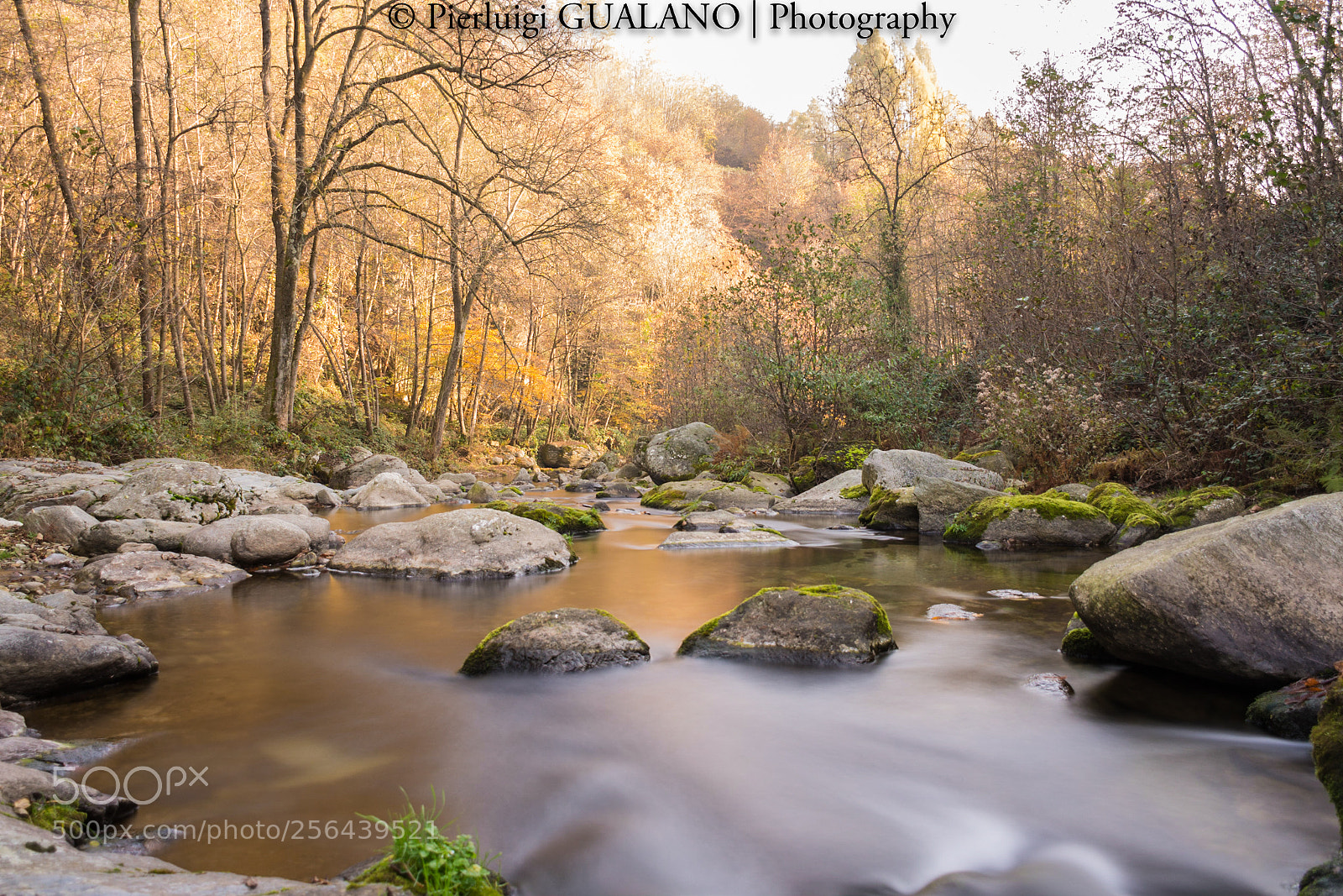 Nikon D7200 sample photo. Creek photography
