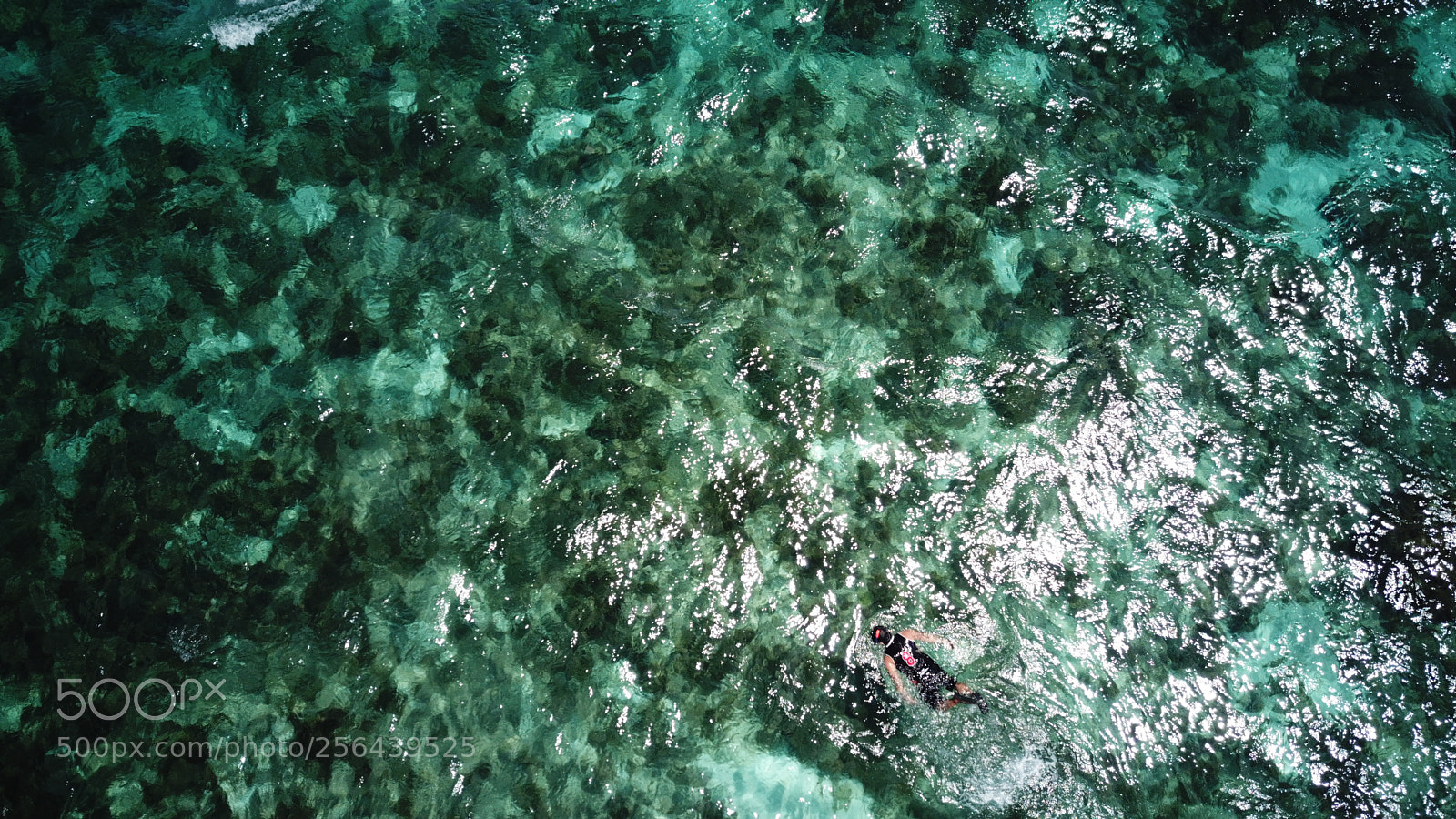 DJI FC220 sample photo. Untitled photography
