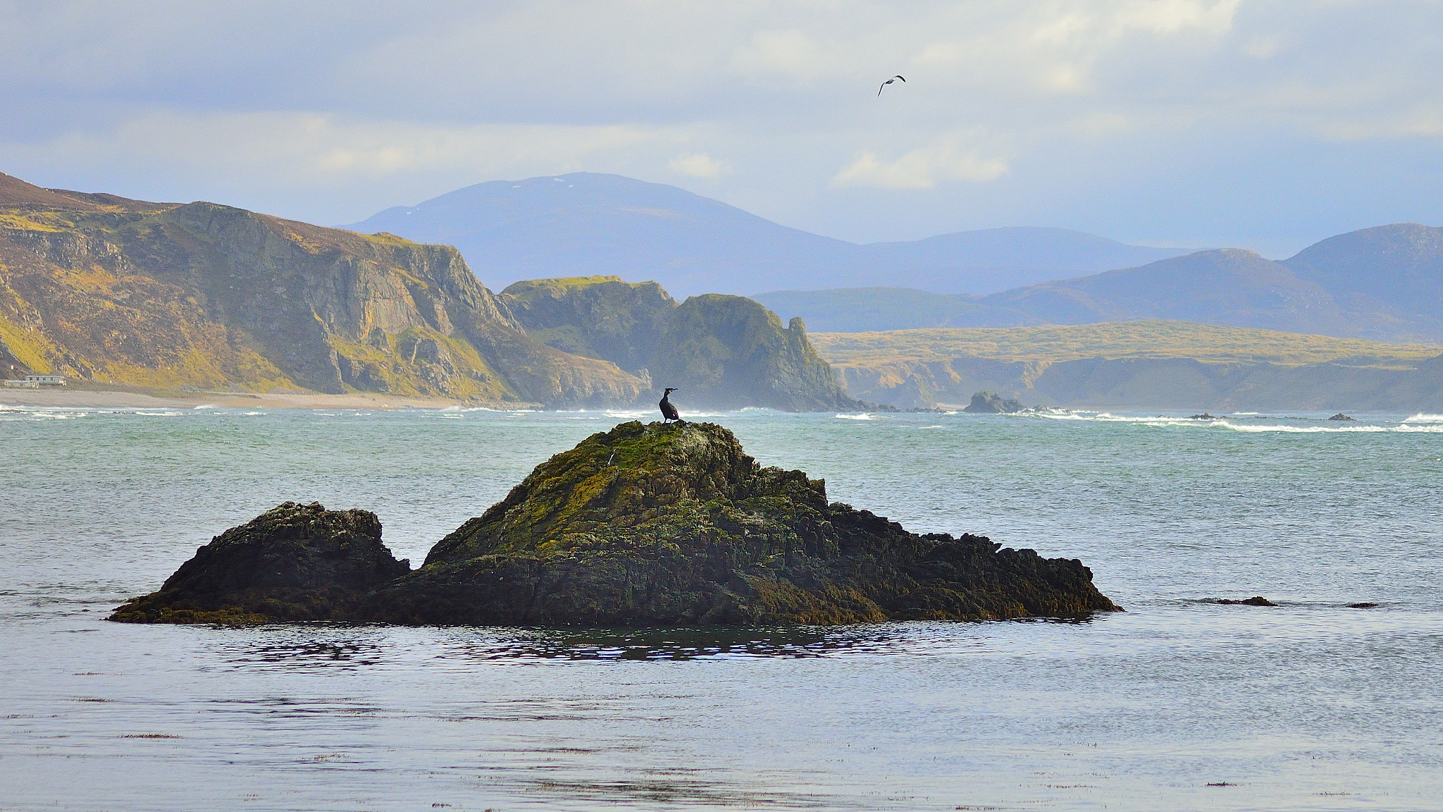 Nikon D3200 + Sigma 70-300mm F4-5.6 APO DG Macro sample photo. Irish cormorant photography