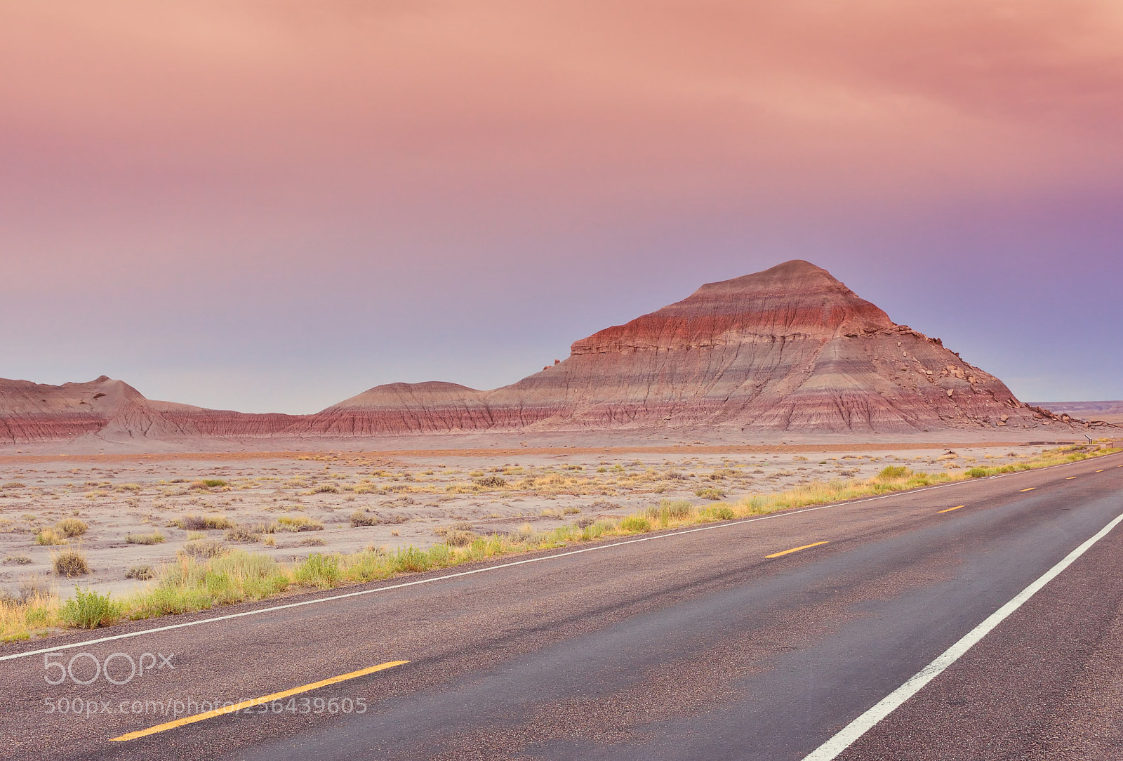 Nikon D7100 sample photo. Petrified forest national park photography