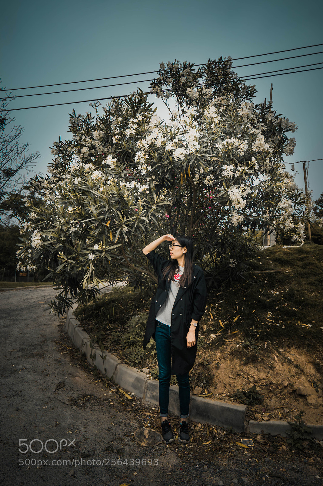 Sony a7 sample photo. Street side photography