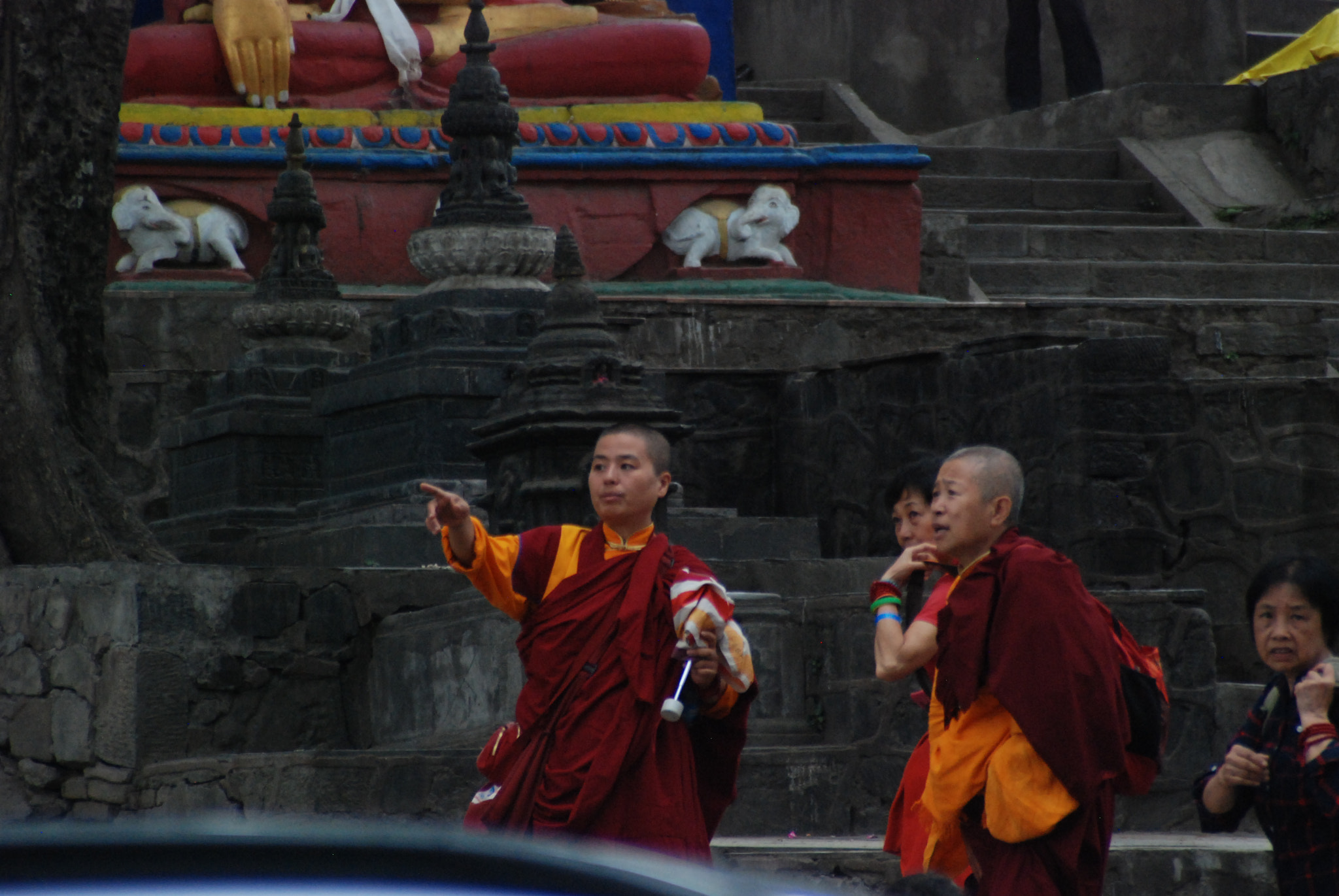 Nikon D80 sample photo. Denizens of swayambhu photography