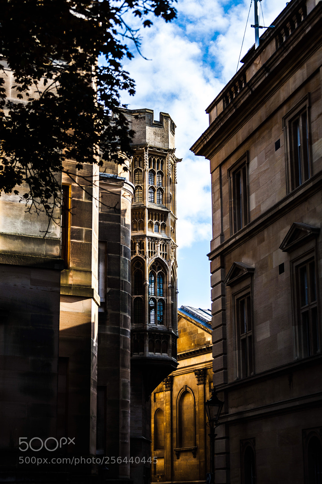 Canon EOS 5D Mark II sample photo. Sentry  photography