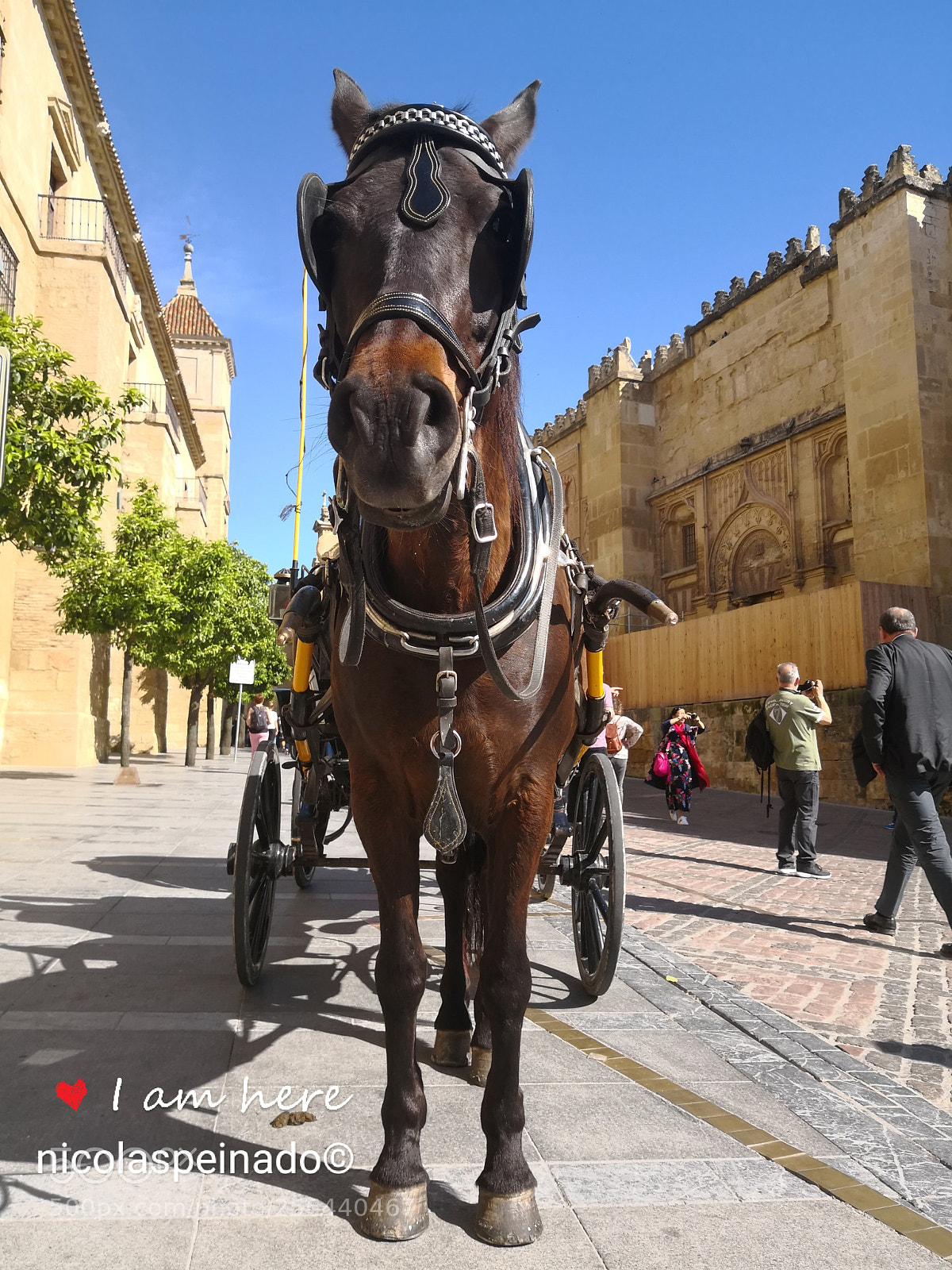 HUAWEI Mate 10 sample photo. Coche de caballos de photography