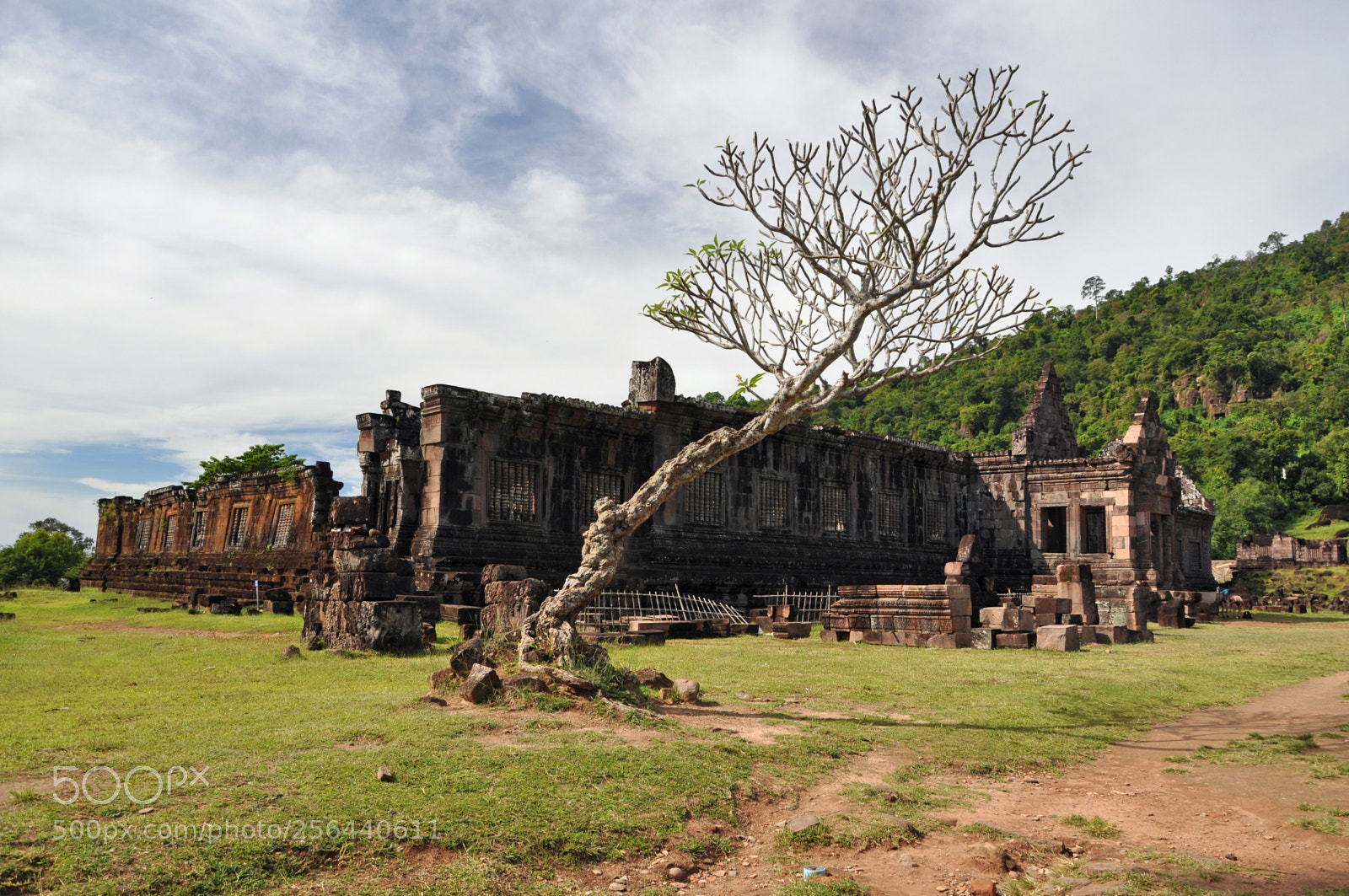 Nikon D5000 sample photo. Vat phou photography