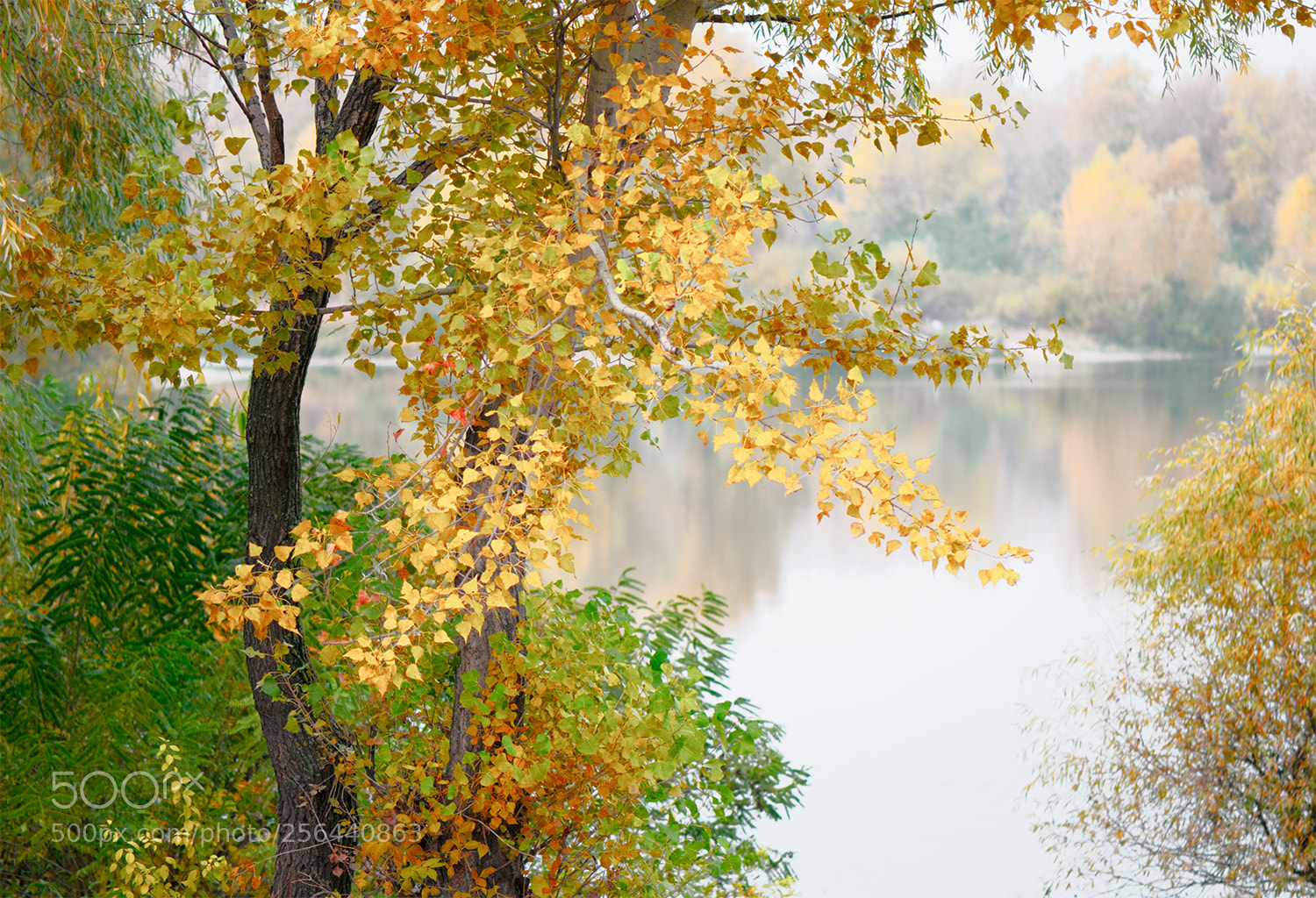 Nikon D300 sample photo. Touch photography