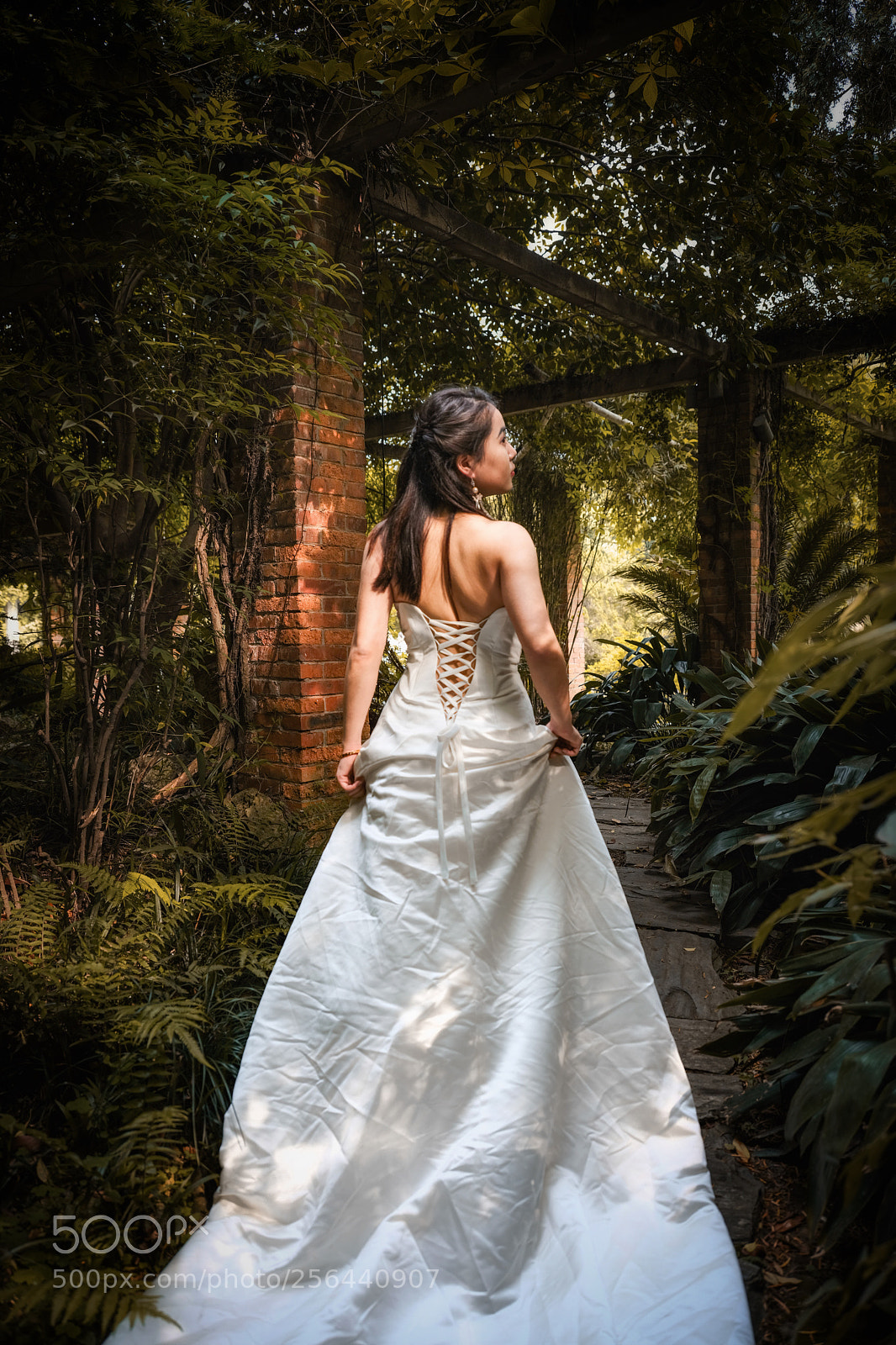 Fujifilm GFX 50S sample photo. Untitled photography