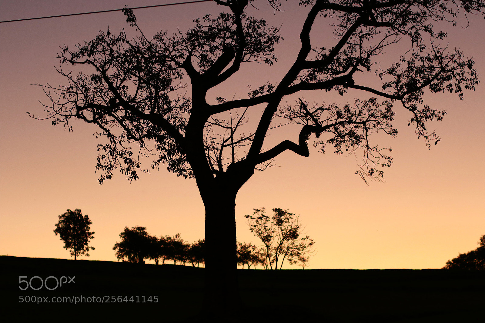 Canon EOS 7D Mark II sample photo. Pôr do sol photography