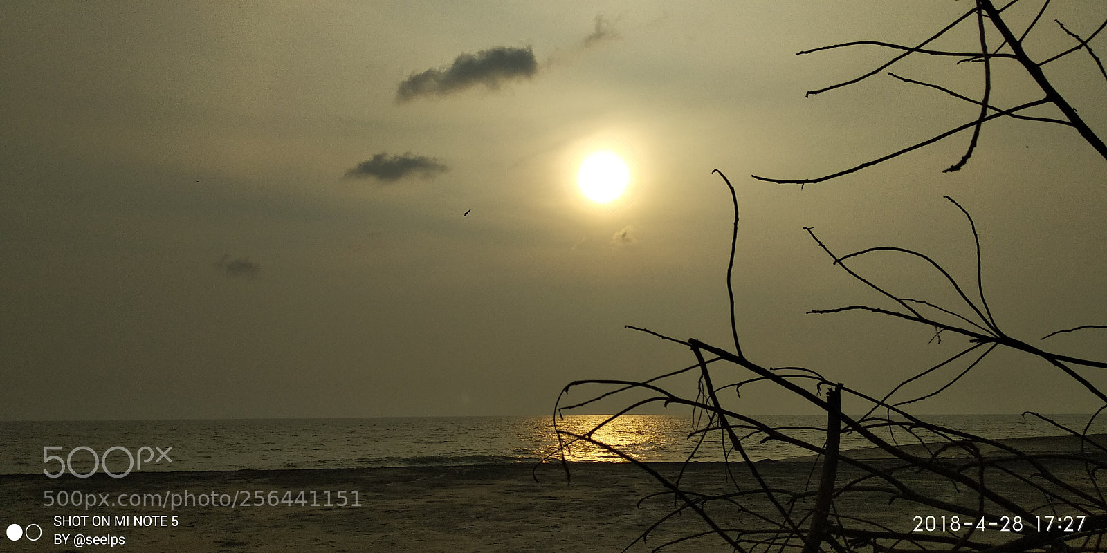 Xiaomi Redmi Note 5 sample photo. Untitled photography